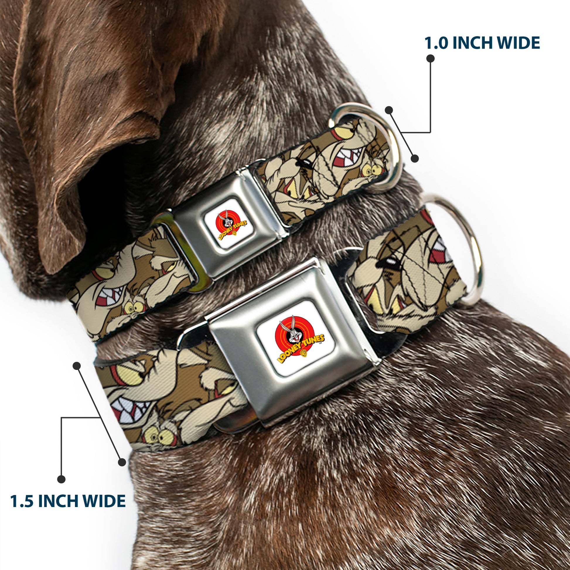Looney Tunes Logo Full Color White Seatbelt Buckle Collar - Wile E. Coyote Expressions Stacked Seatbelt Buckle Collars Looney Tunes