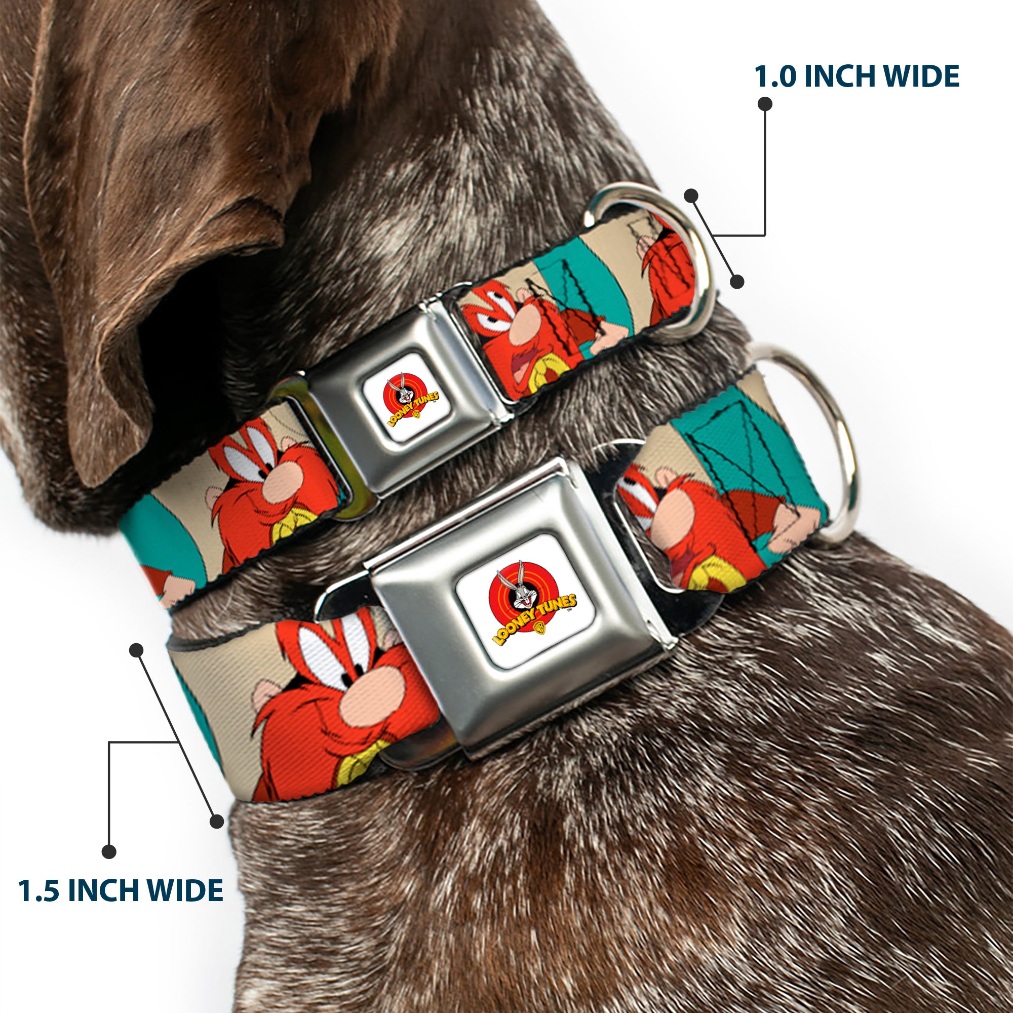 Looney Tunes Logo Full Color White Seatbelt Buckle Collar - Yosemite Sam Poses Turquoise Seatbelt Buckle Collars Looney Tunes