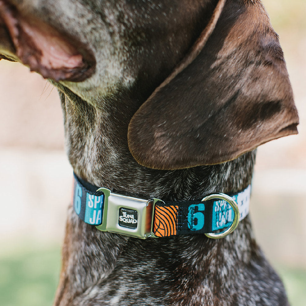 Space Jam 2 TUNE SQUAD Logo Full Color Black/White Seatbelt Buckle Collar - SPACE JAM Number 6 Blocks Black/Turquoise/White/Red Seatbelt Buckle Collars Looney Tunes