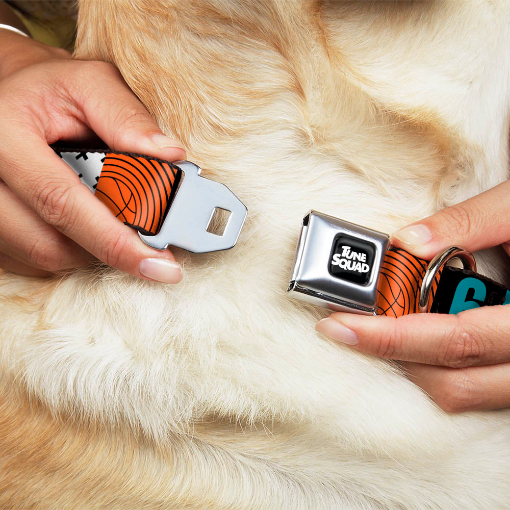 Space Jam 2 TUNE SQUAD Logo Full Color Black/White Seatbelt Buckle Collar - SPACE JAM Number 6 Blocks Black/Turquoise/White/Red Seatbelt Buckle Collars Looney Tunes