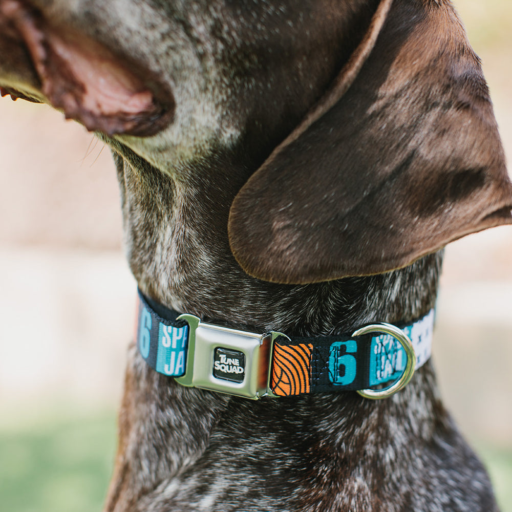 Space Jam 2 TUNE SQUAD Logo Full Color Black/White Seatbelt Buckle Collar - SPACE JAM Number 6 Blocks Black/Turquoise/White/Red Seatbelt Buckle Collars Looney Tunes