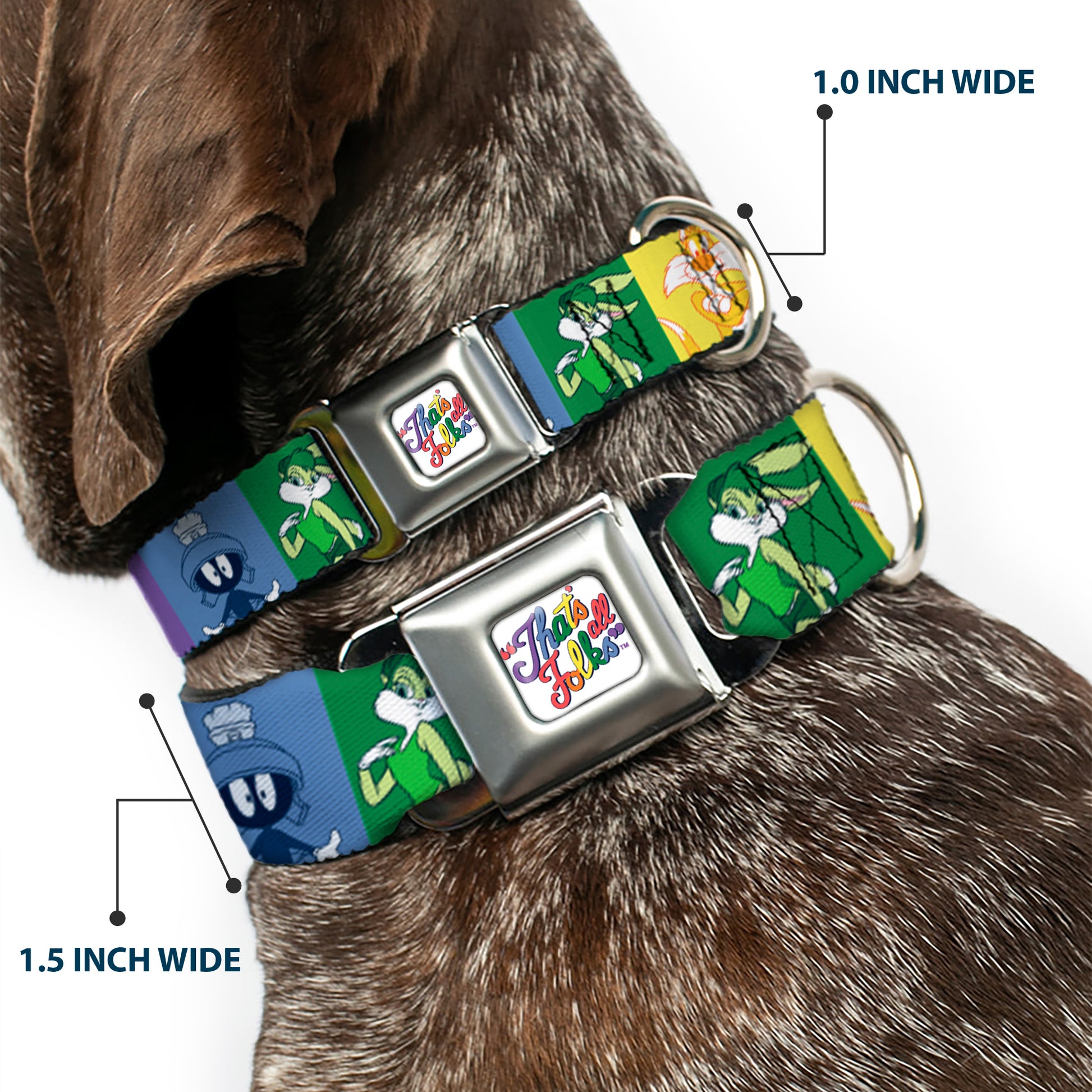 Looney Tunes THAT'S ALL FOLKS Script Full Color White/Multi Color Seatbelt Buckle Collar - Looney Tunes 6-Character Pose Pride Blocks Multi Color Seatbelt Buckle Collars Looney Tunes