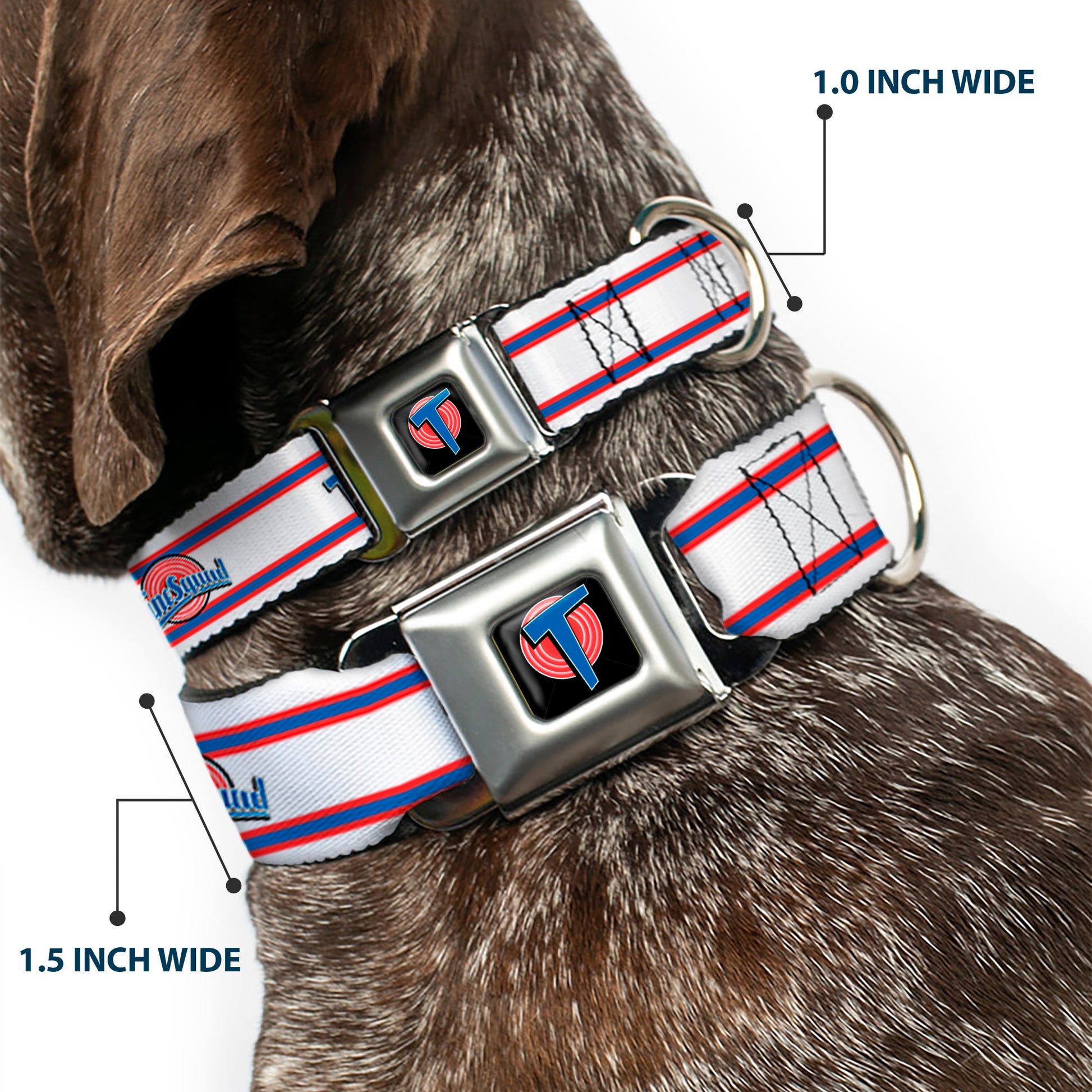 Space Jam Tune Squad Icon Full Color Black/Red/Blue Seatbelt Buckle Collar - Space Jam TUNE SQUAD Logo Stripe White/Red/Blue Seatbelt Buckle Collars Looney Tunes