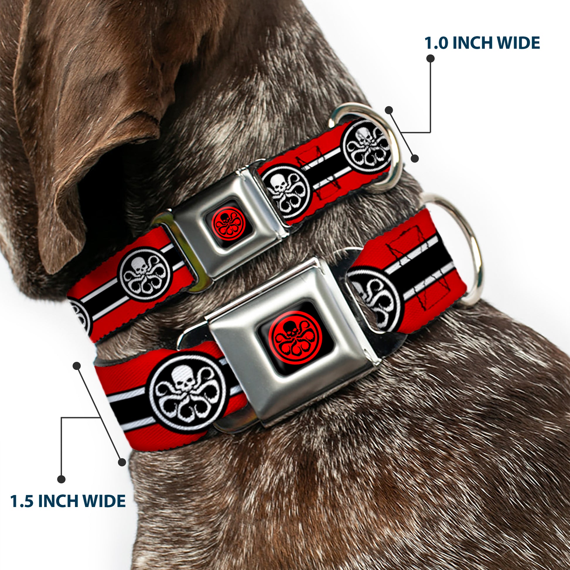 HYDRA Logo Full Color Black/Red Seatbelt Buckle Collar - HYDRA Logo/Stripe Red/Black/White Seatbelt Buckle Collars Marvel Comics