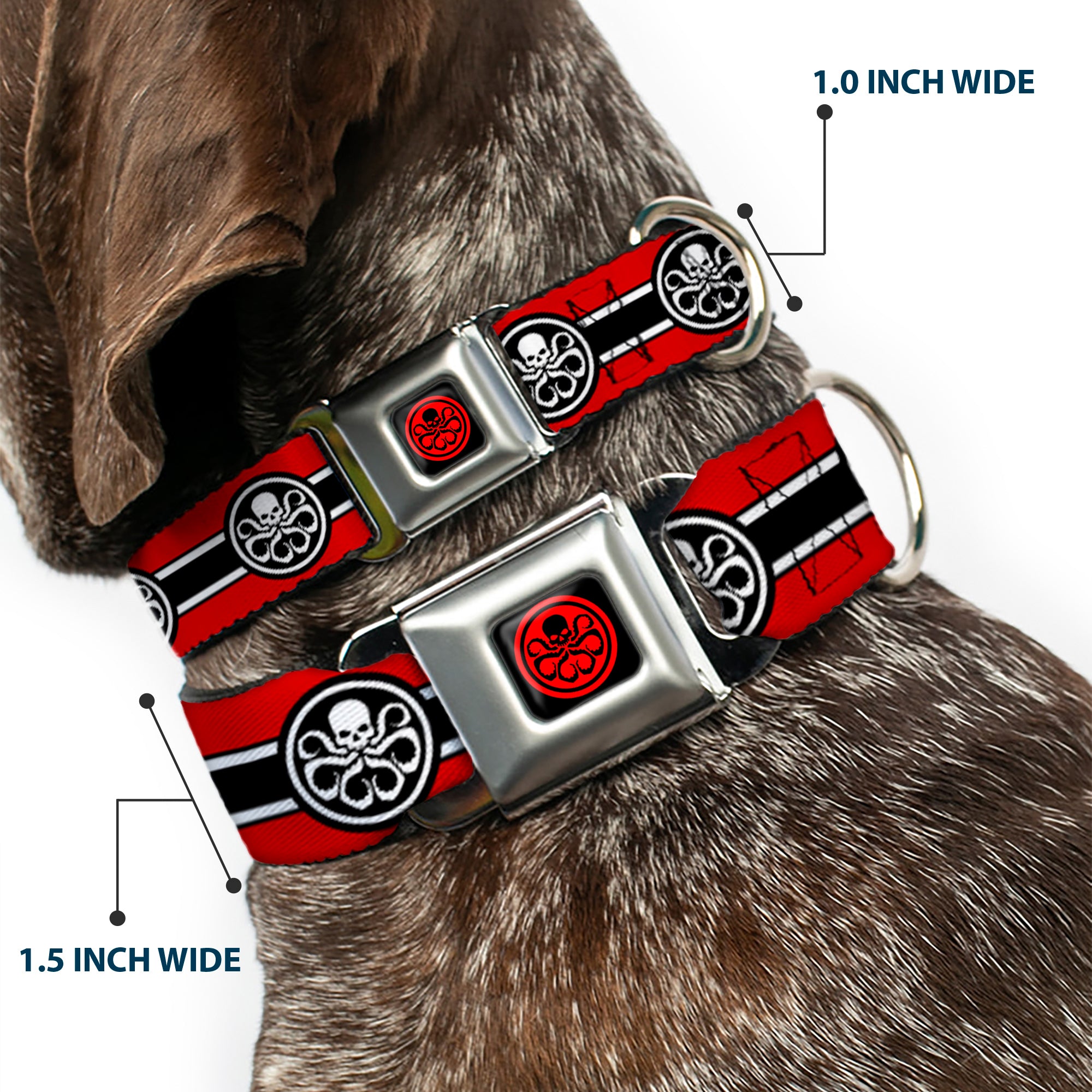 HYDRA Logo Full Color Black/Red Seatbelt Buckle Collar - HYDRA Logo/Stripe Red/Black/White Seatbelt Buckle Collars Marvel Comics