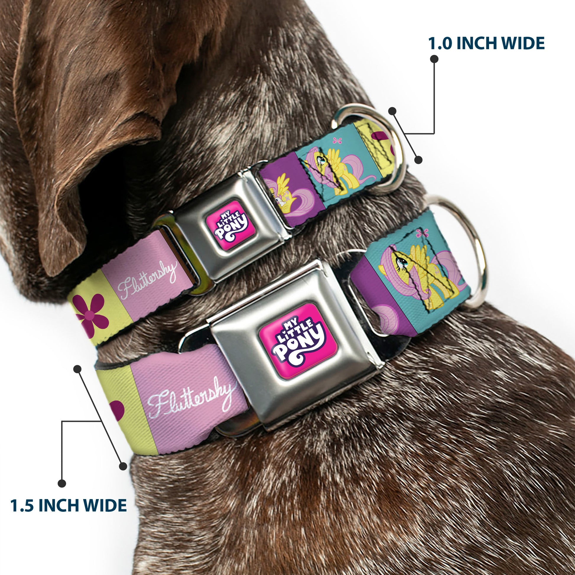 MY LITTLE PONY Title Logo Full Color Pink/Purple/White Seatbelt Buckle Collar - FLUTTERSHY Text and Pose Blocks Multi Color Seatbelt Buckle Collars My Little Pony