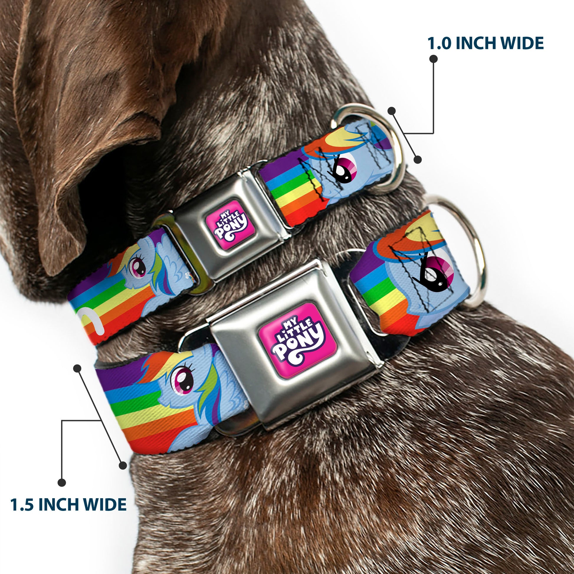 MY LITTLE PONY Title Logo Full Color Pink/Purple/White Seatbelt Buckle Collar - RAINBOW DASH Text and Poses Rainbow Streak Seatbelt Buckle Collars My Little Pony
