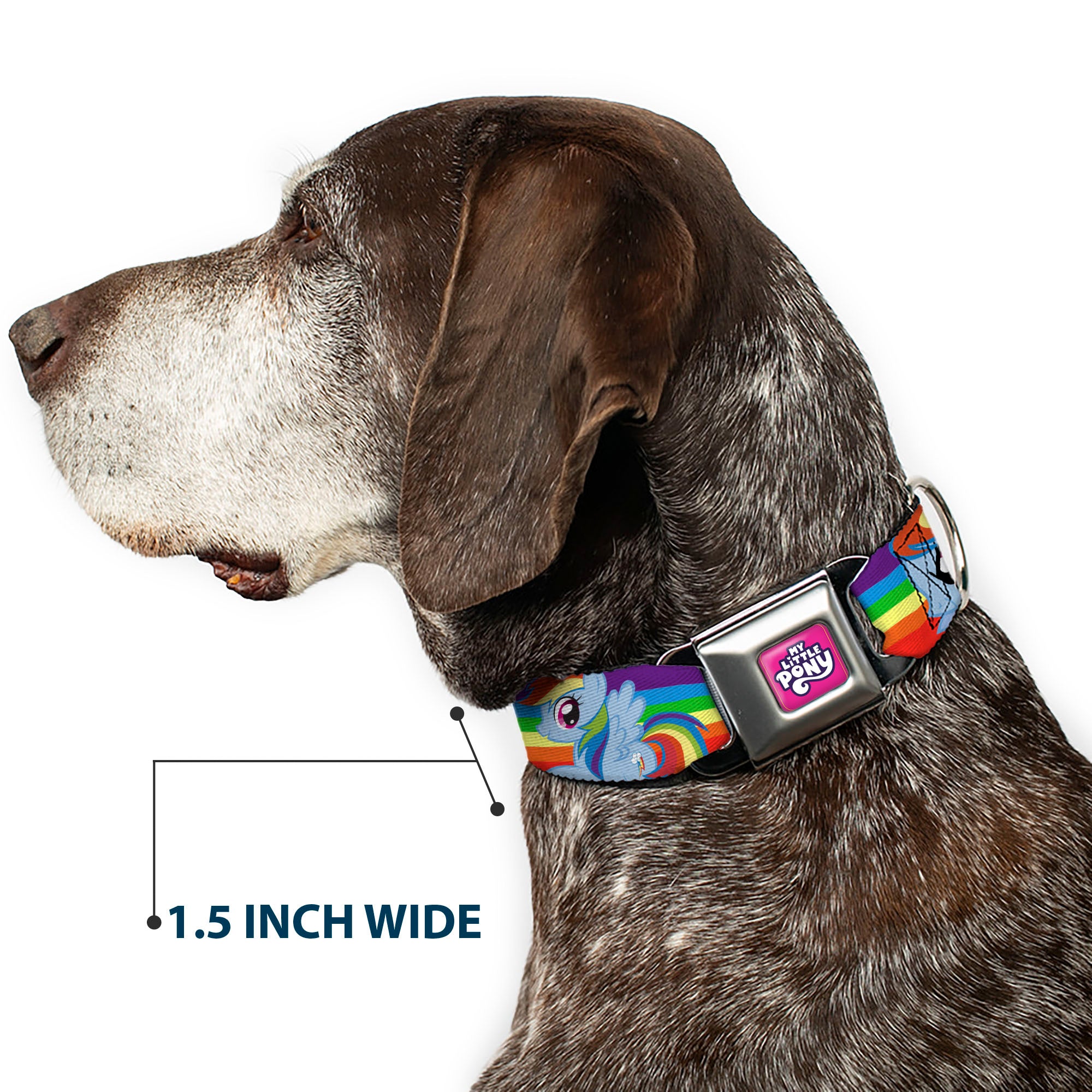 MY LITTLE PONY Title Logo Full Color Pink/Purple/White Seatbelt Buckle Collar - RAINBOW DASH Text and Poses Rainbow Streak Seatbelt Buckle Collars My Little Pony