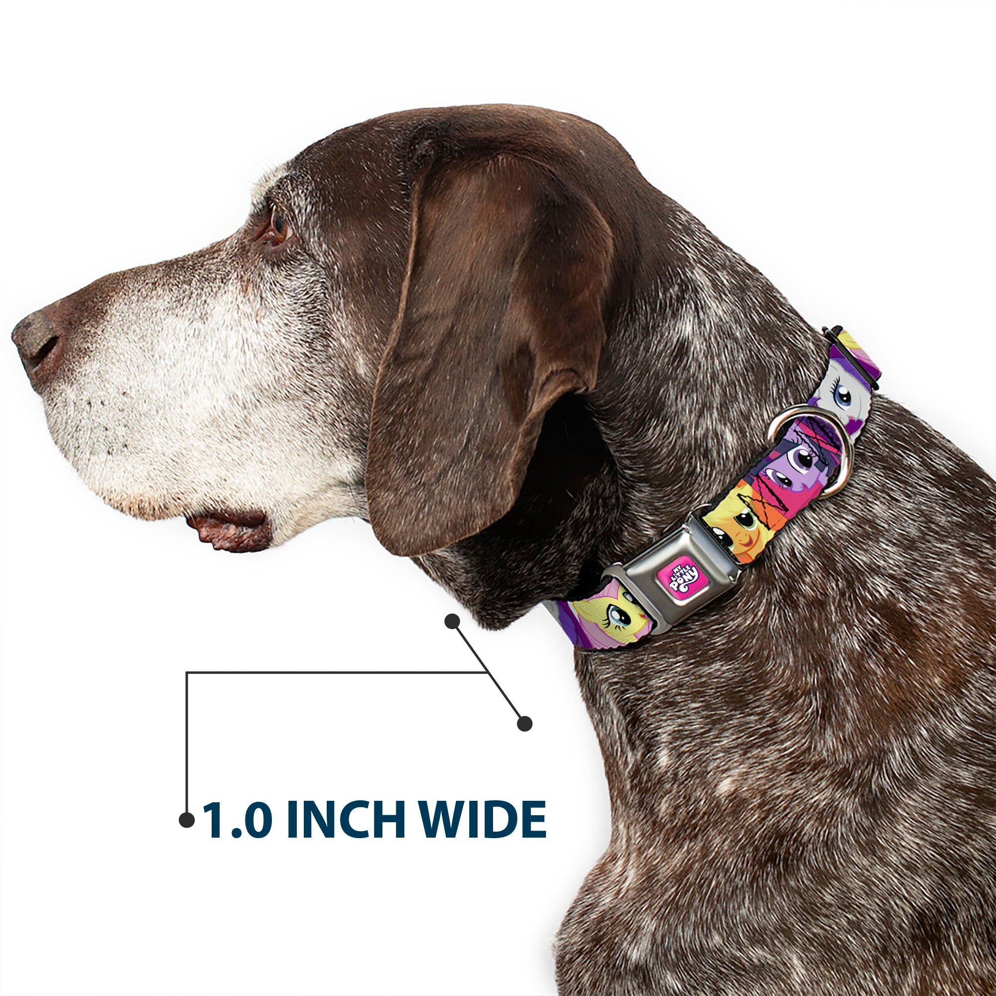 MY LITTLE PONY Title Logo Full Color Pink/Purple/White Seatbelt Buckle Collar - My Little Pony Mane Six Ponies Expressions Blocks Multi Color Seatbelt Buckle Collars My Little Pony