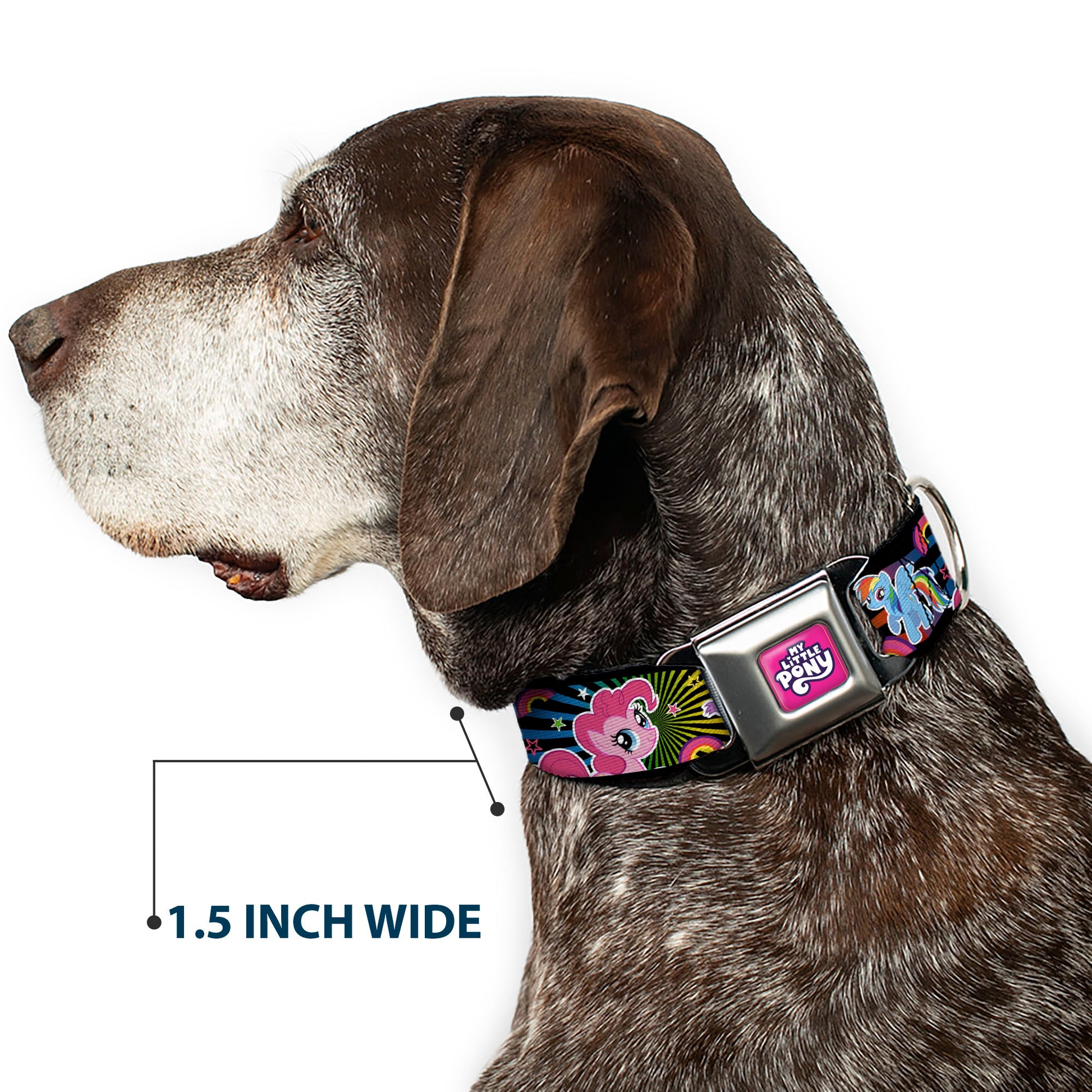 MY LITTLE PONY Title Logo Full Color Pink/Purple/White Seatbelt Buckle Collar - My Little Pony Three Ponies and Spike Sunburst Collage Black/Multi Color Seatbelt Buckle Collars My Little Pony