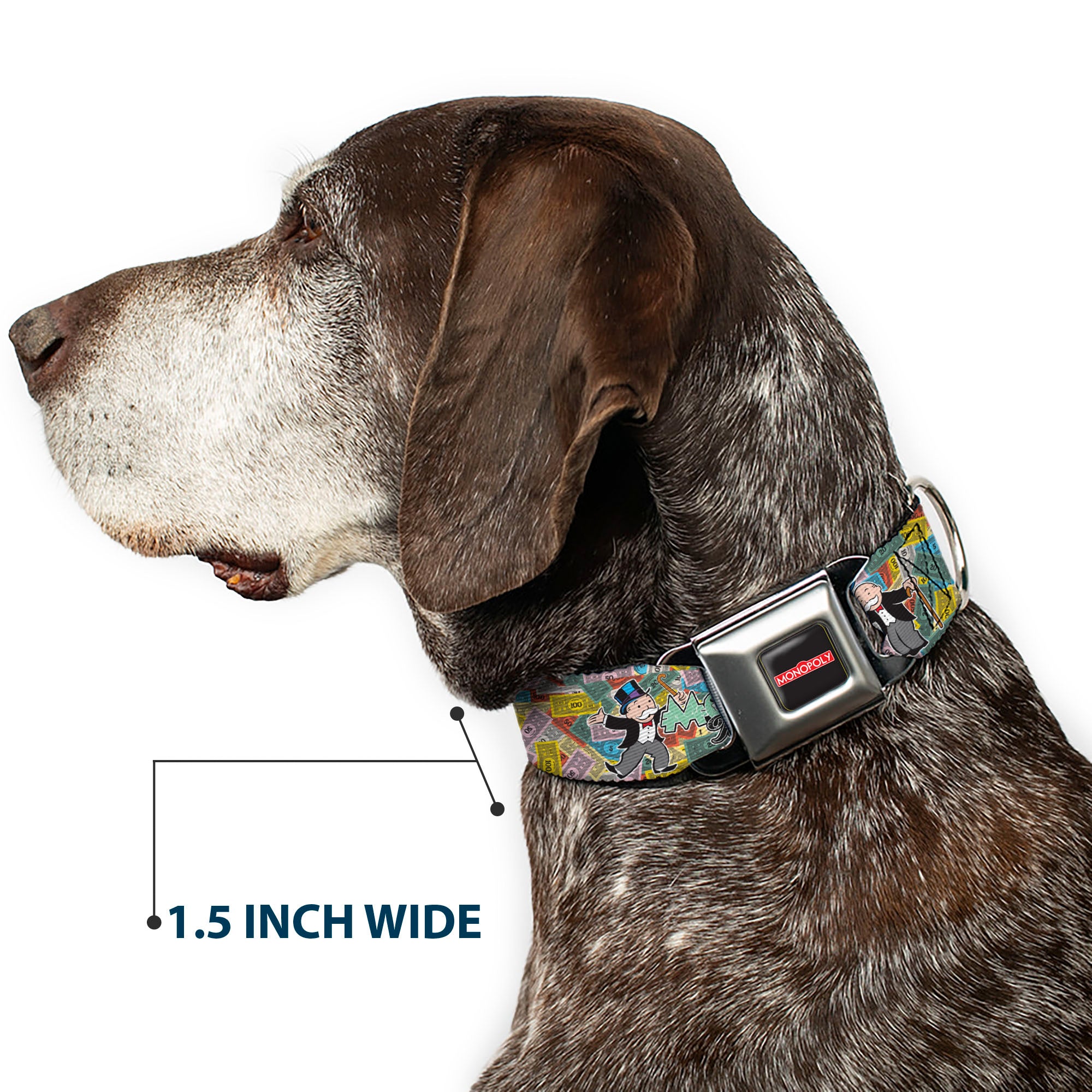 MONOPOLY Logo Full Color Black/Red/White Seatbelt Buckle Collar - Mr. Monopoly MONEY TALKS Poses Multi Color Seatbelt Buckle Collars Monopoly