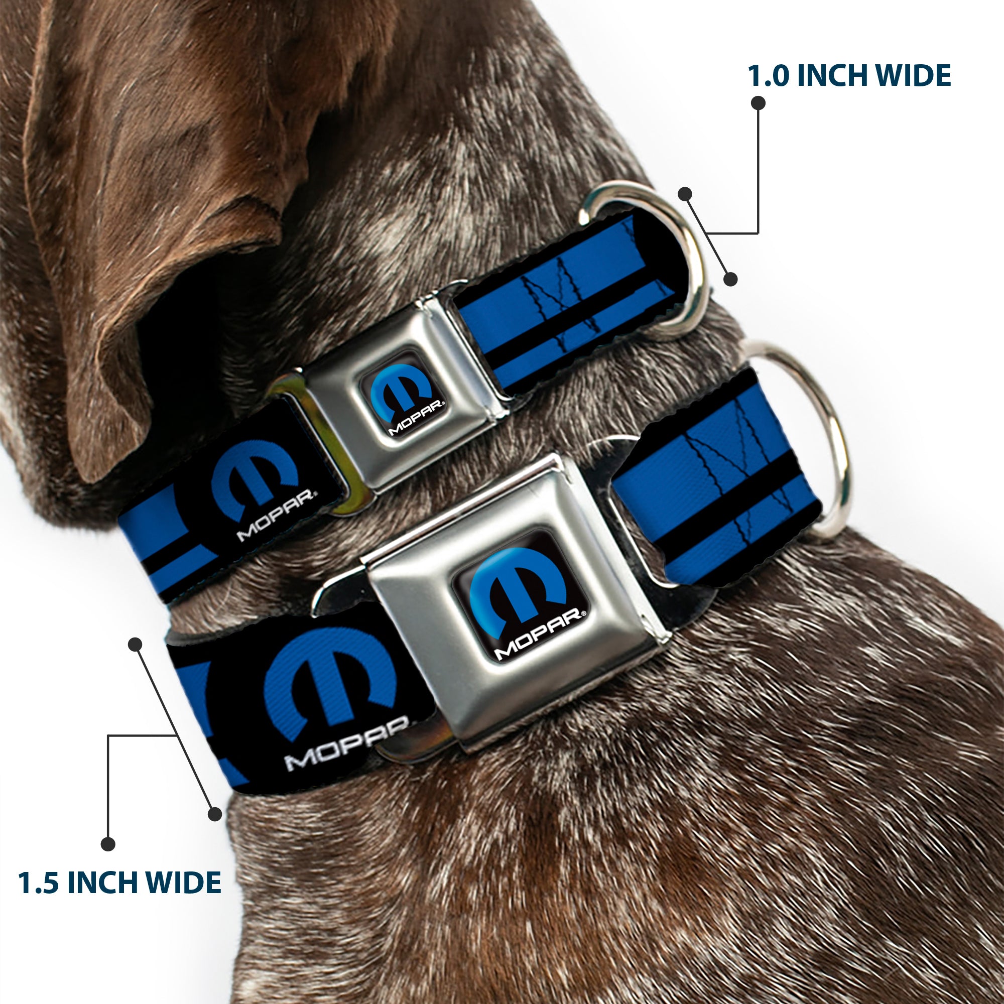MOPAR Logo Full Color Black Blue White Seatbelt Buckle Collar - MOPAR Logo/Stripe Black/Blue Seatbelt Buckle Collars Mopar