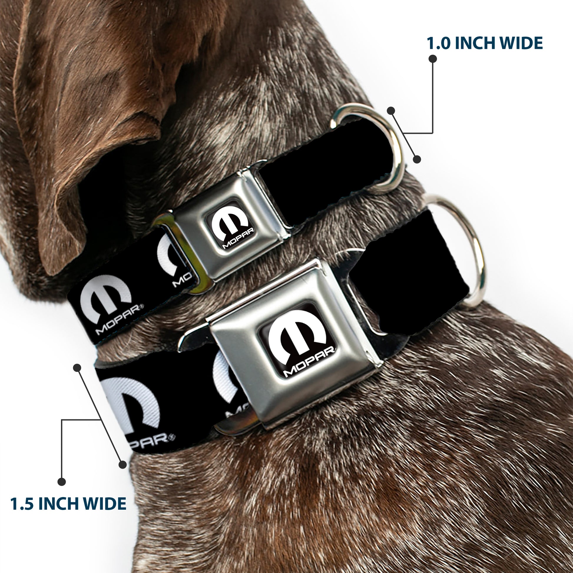MOPAR Logo Full Color Black White Seatbelt Buckle Collar - MOPAR Logo Repeat Black/White Seatbelt Buckle Collars Mopar
