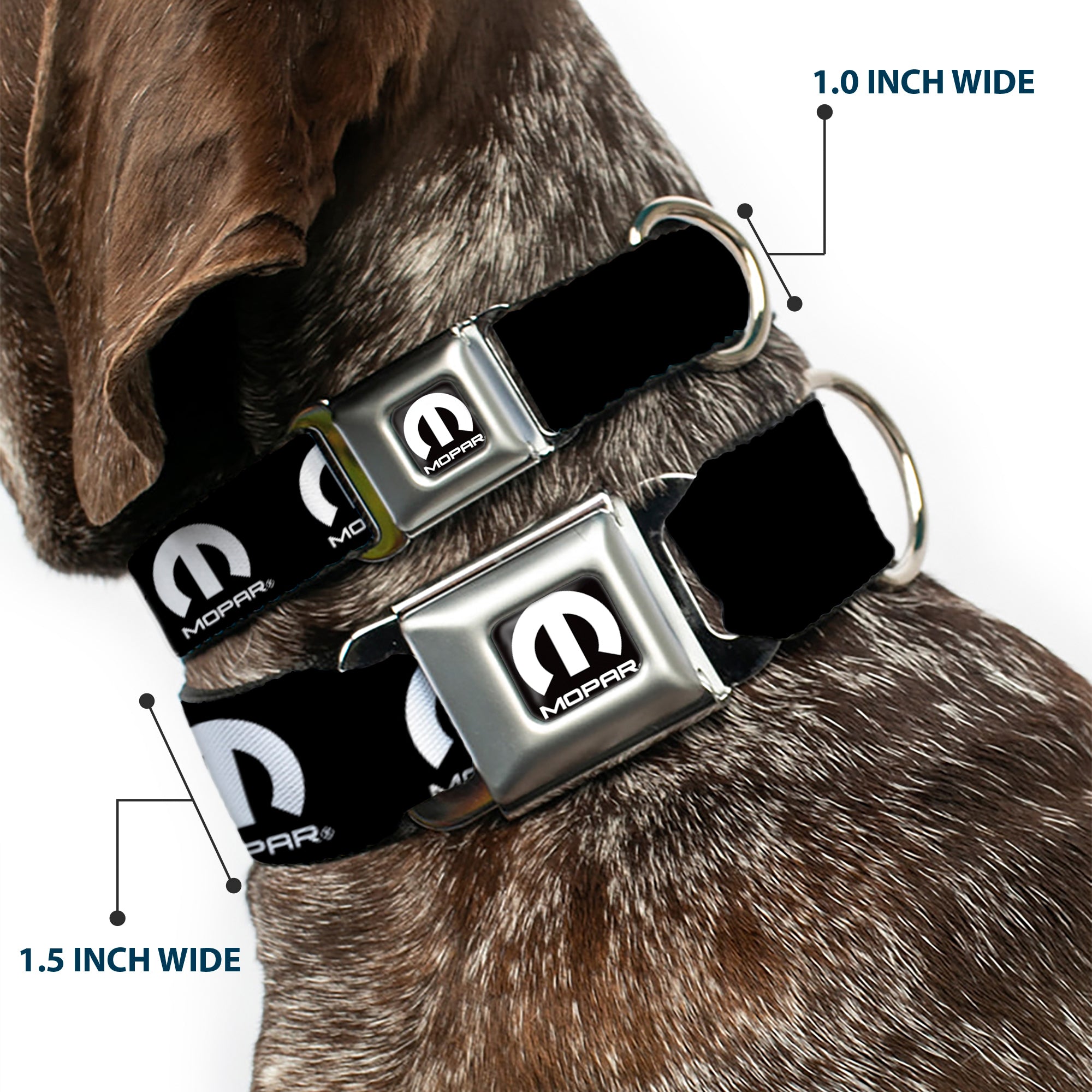 MOPAR Logo Full Color Black White Seatbelt Buckle Collar - MOPAR Logo Repeat Black/White Seatbelt Buckle Collars Mopar