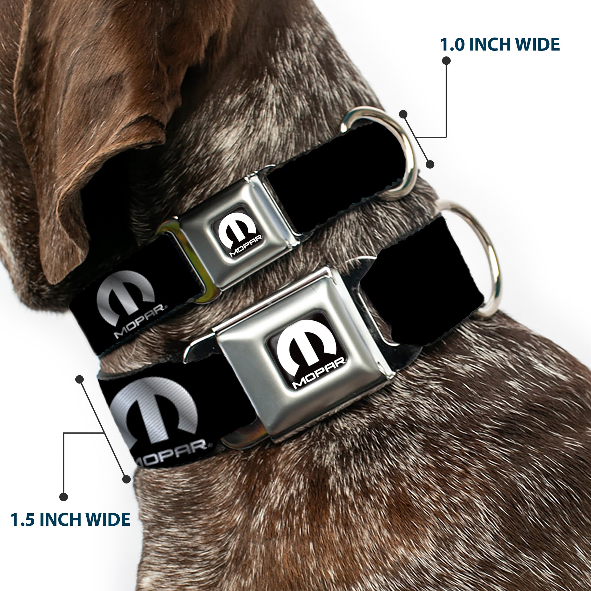 MOPAR Logo Full Color Black/White Seatbelt Buckle Collar - MOPAR Logo Repeat Black/Silver Gradient Seatbelt Buckle Collars Mopar