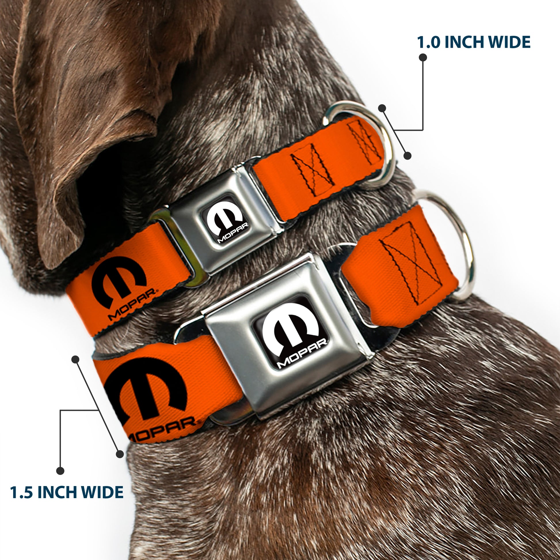 MOPAR Logo Full Color Black/White Seatbelt Buckle Collar - MOPAR Logo Repeat Orange/Black Seatbelt Buckle Collars Mopar