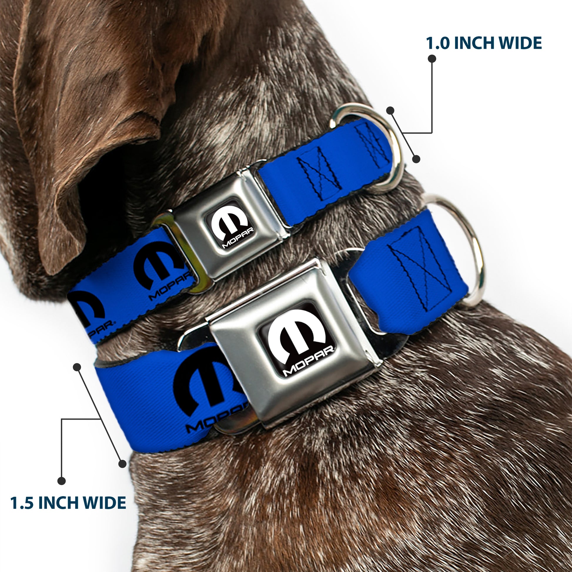 MOPAR Logo Full Color Black/White Seatbelt Buckle Collar - MOPAR Logo Repeat Blue/Black Seatbelt Buckle Collars Mopar