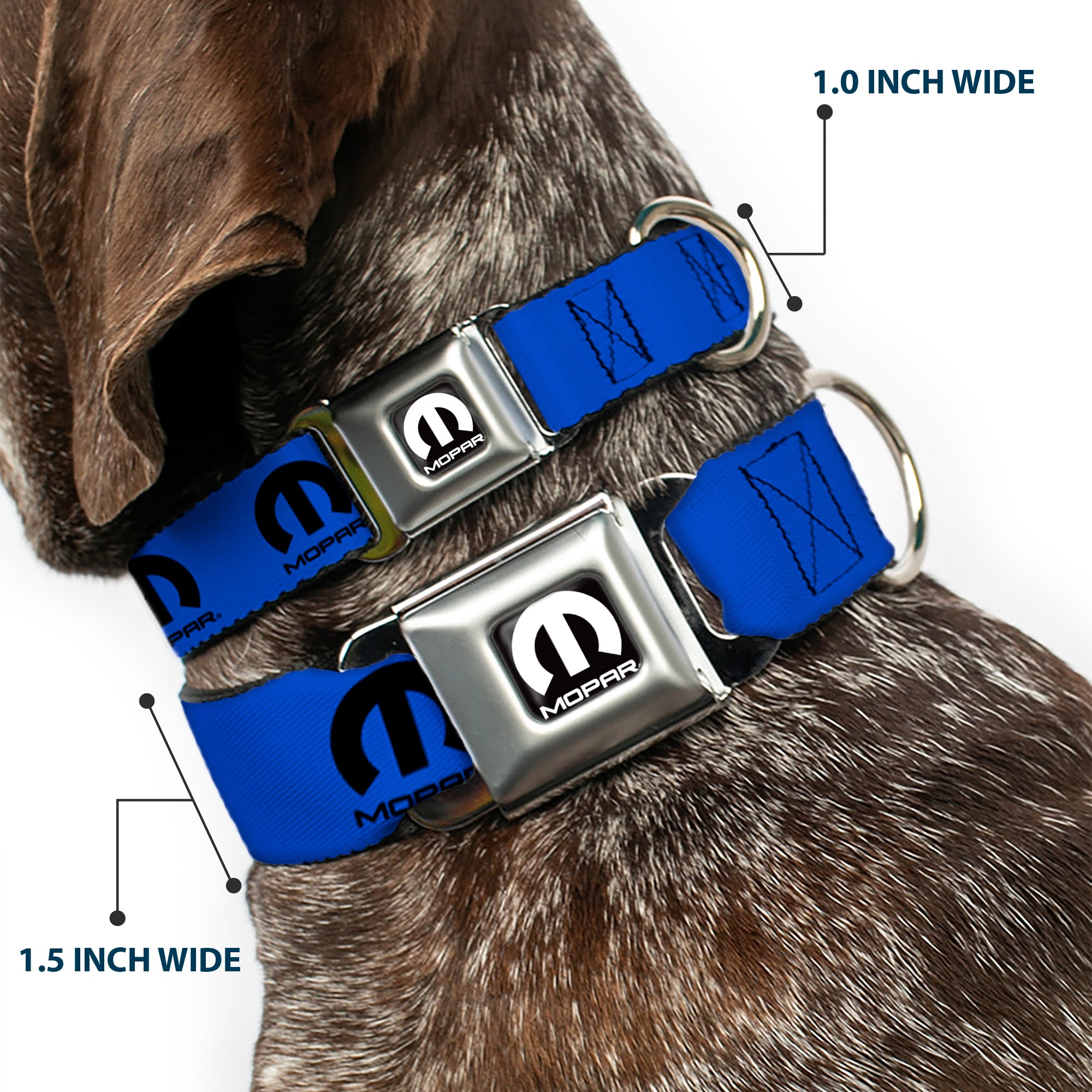 MOPAR Logo Full Color Black/White Seatbelt Buckle Collar - MOPAR Logo Repeat Blue/Black Seatbelt Buckle Collars Mopar