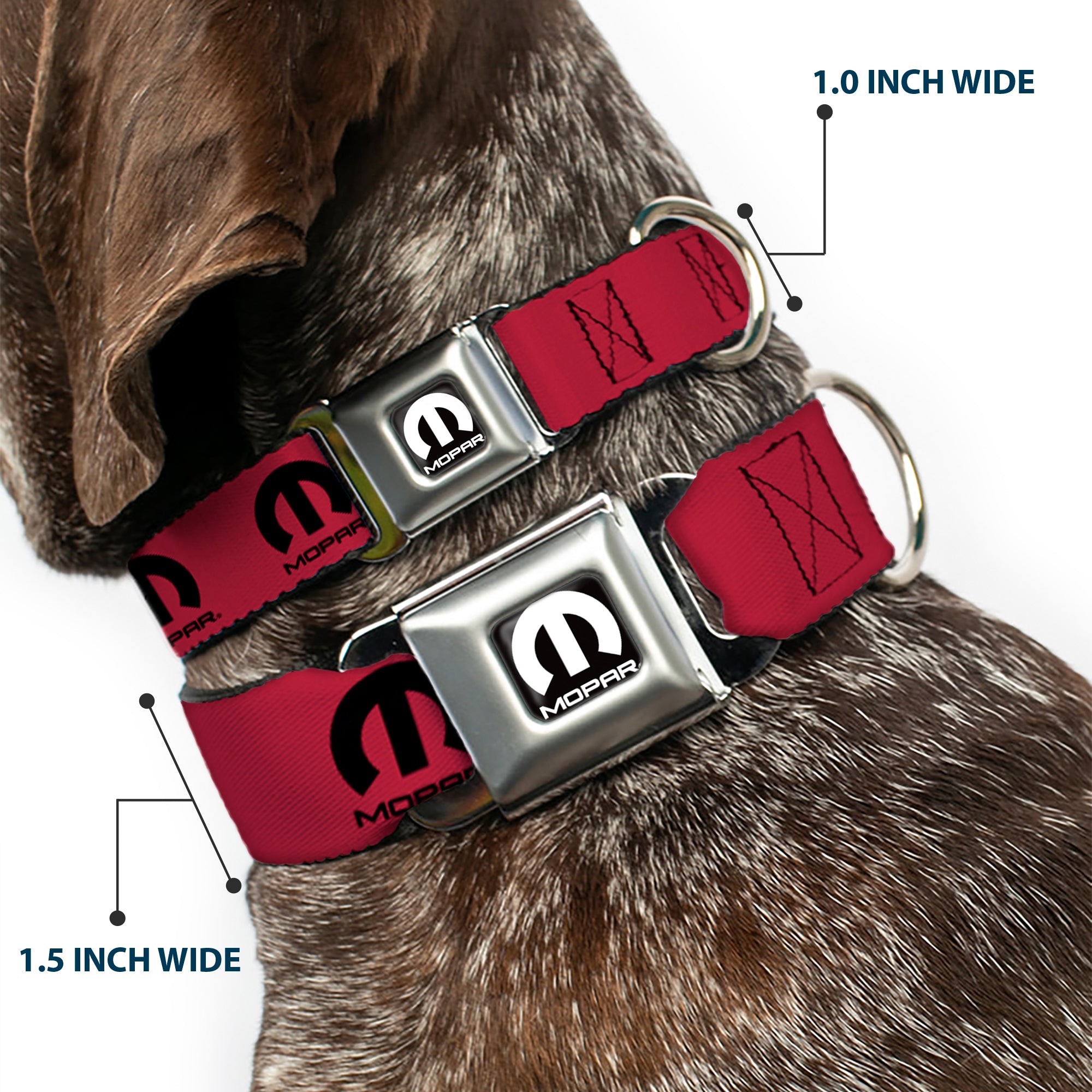 MOPAR Logo Full Color Black/White Seatbelt Buckle Collar - MOPAR Logo Repeat Fuchsia/Black Seatbelt Buckle Collars Mopar