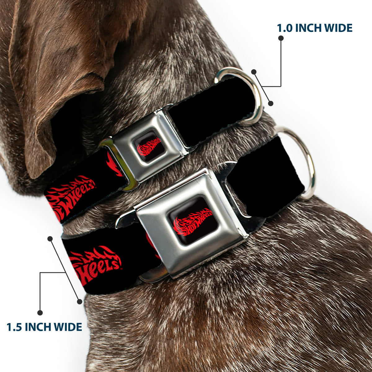 HOT WHEELS Flaming Logo Full Color Black/Red Seatbelt Buckle Collar - HOT WHEELS Flaming Logo Black/Red Dog Collars Seatbelt Buckle Hot Wheels