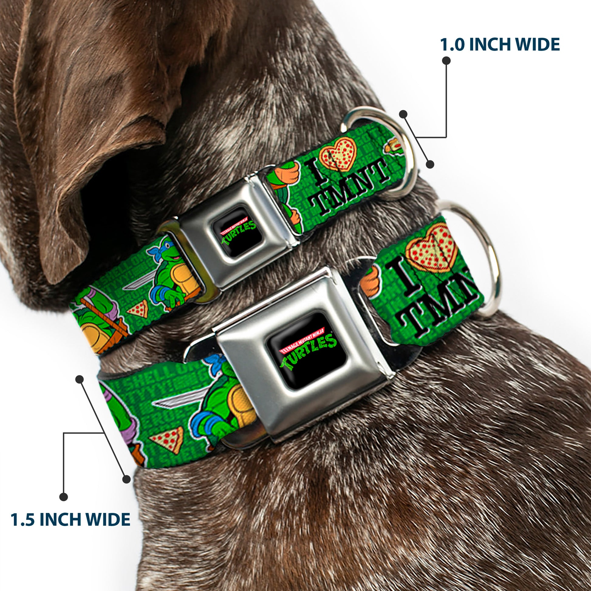 Classic TEENAGE MUTANT NINJA TURTLES Logo Seatbelt Buckle Collar - I "HEART" TMNT/Classic Turtles & Pizza Green Seatbelt Buckle Collars Teenage Mutant Ninja Turtles