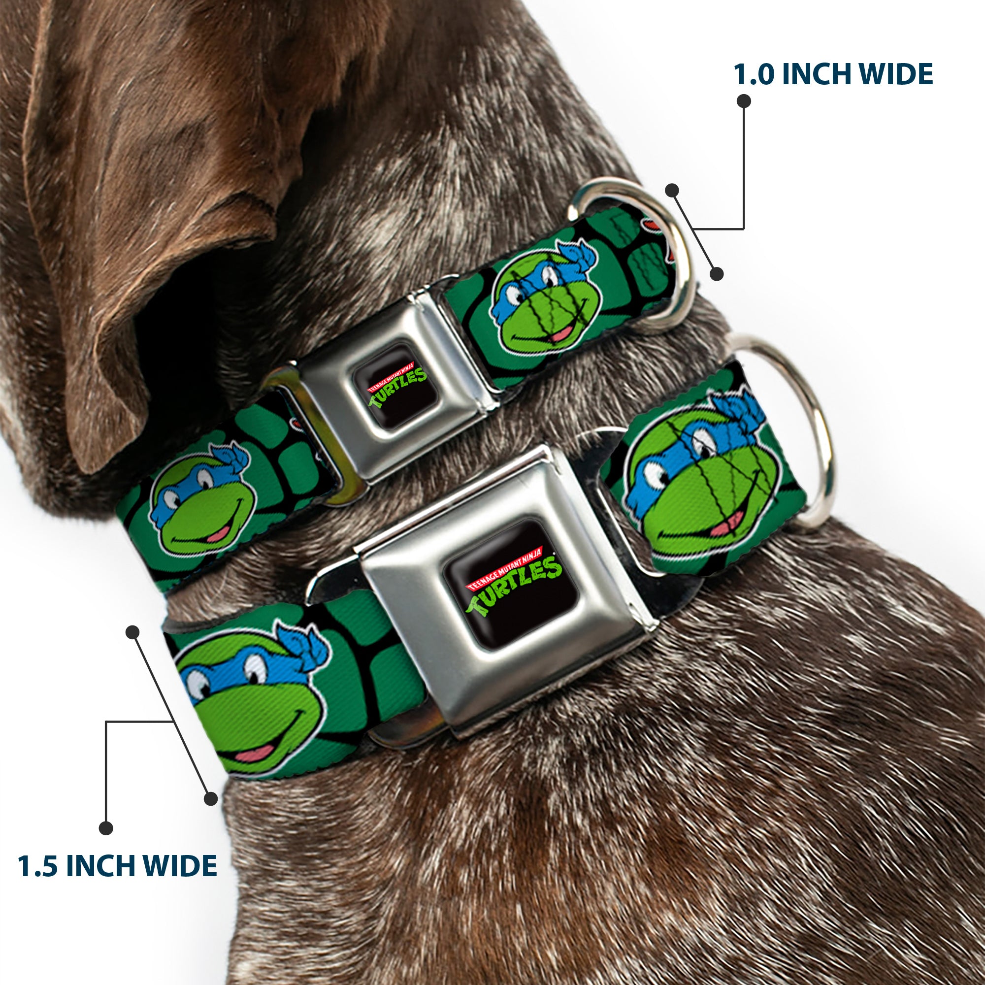 Classic TEENAGE MUTANT NINJA TURTLES Logo Seatbelt Buckle Collar - Classic TEENAGE MUTANT NINJA TURTLES Turtle Faces Black/Green Turtle Shell Seatbelt Buckle Collars Teenage Mutant Ninja Turtles