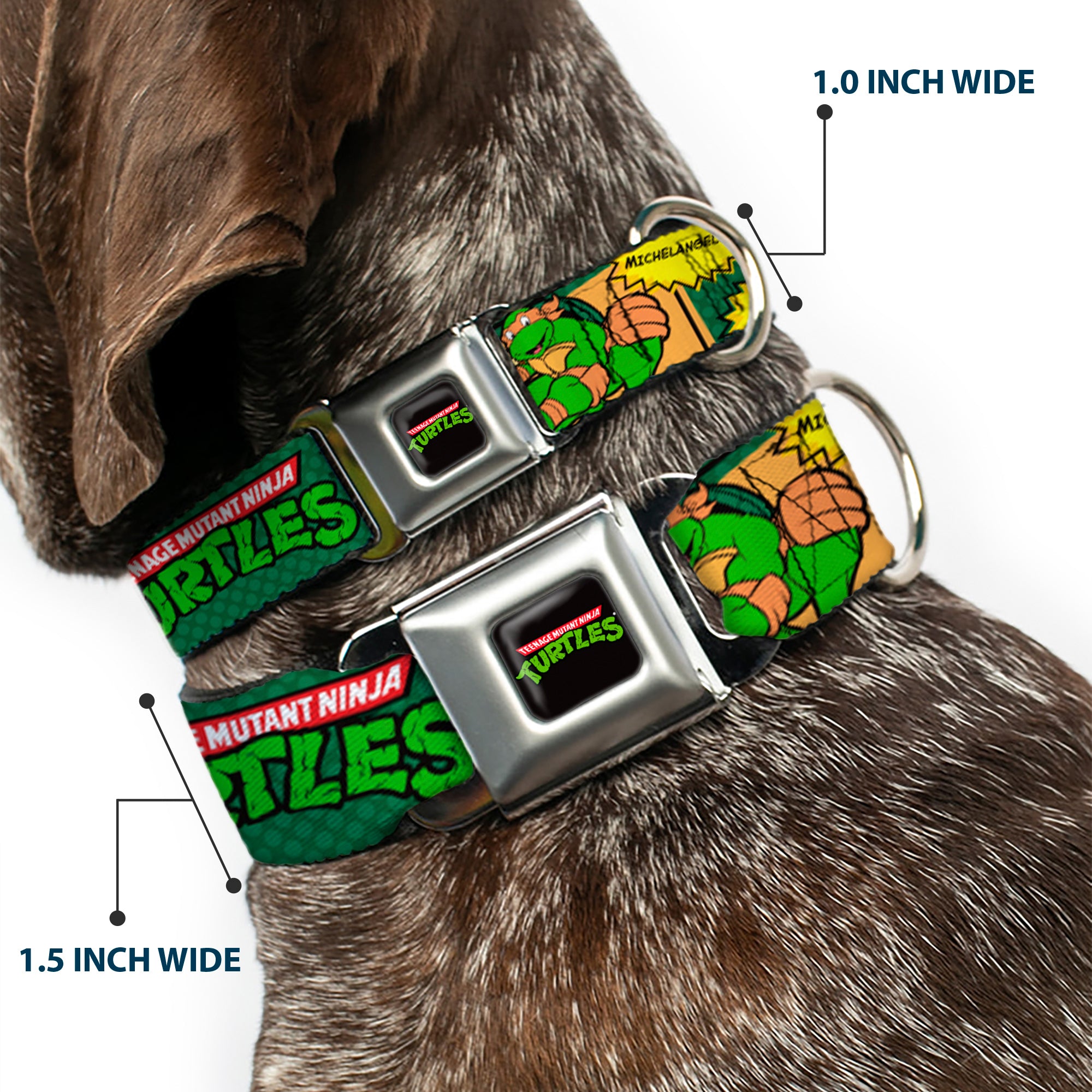Classic TEENAGE MUTANT NINJA TURTLES Logo Seatbelt Buckle Collar - Classic TEENAGE MUTANT NINJA TURTLES Character Comic Scenes Seatbelt Buckle Collars Teenage Mutant Ninja Turtles