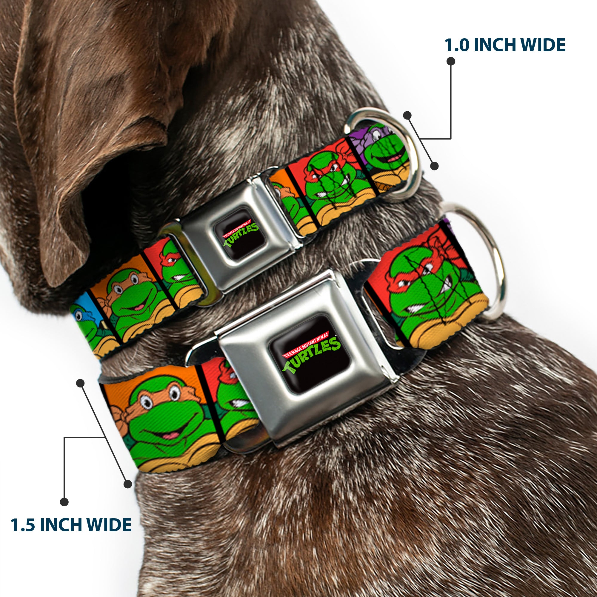 Classic TEENAGE MUTANT NINJA TURTLES Logo Seatbelt Buckle Collar - Classic Teenage Mutant Ninja Turtles Face Blocks Black/Multi Color Seatbelt Buckle Collars Teenage Mutant Ninja Turtles