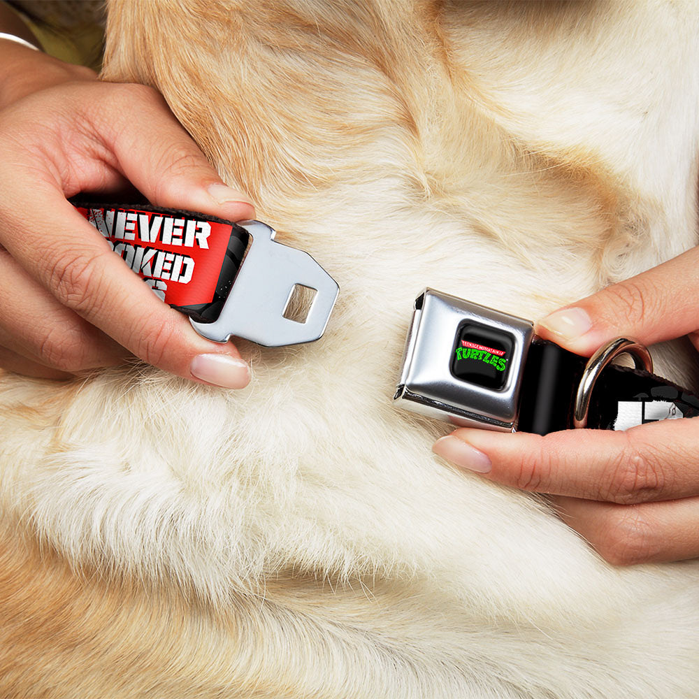 Classic TEENAGE MUTANT NINJA TURTLES Logo Seatbelt Buckle Collar - Shredder Poses BAD NEVER LOOKED THIS GOOD Seatbelt Buckle Collars Teenage Mutant Ninja Turtles