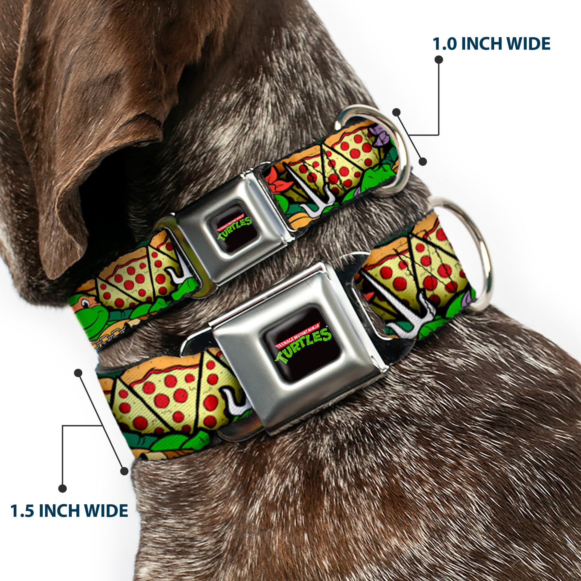 Classic TEENAGE MUTANT NINJA TURTLES Logo Seatbelt Buckle Collar - Classic Teenage Mutant Ninja Turtles Turtle Poses/Pizza Slices Seatbelt Buckle Collars Teenage Mutant Ninja Turtles