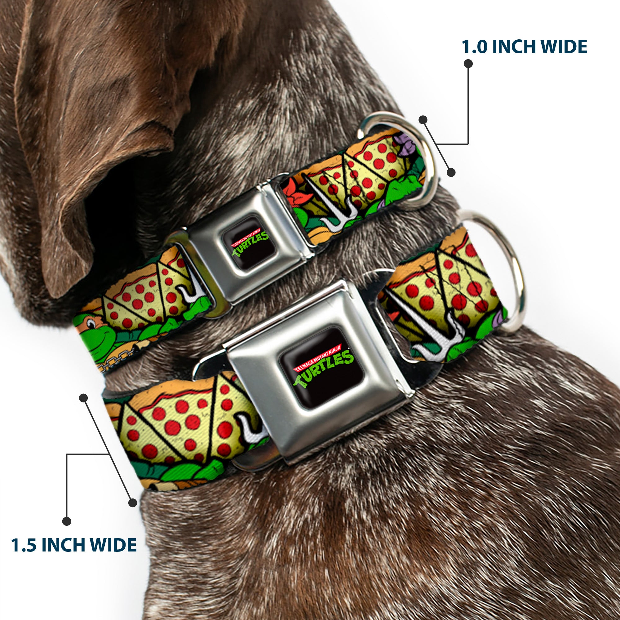 Classic TEENAGE MUTANT NINJA TURTLES Logo Seatbelt Buckle Collar - Classic Teenage Mutant Ninja Turtles Turtle Poses/Pizza Slices Seatbelt Buckle Collars Teenage Mutant Ninja Turtles