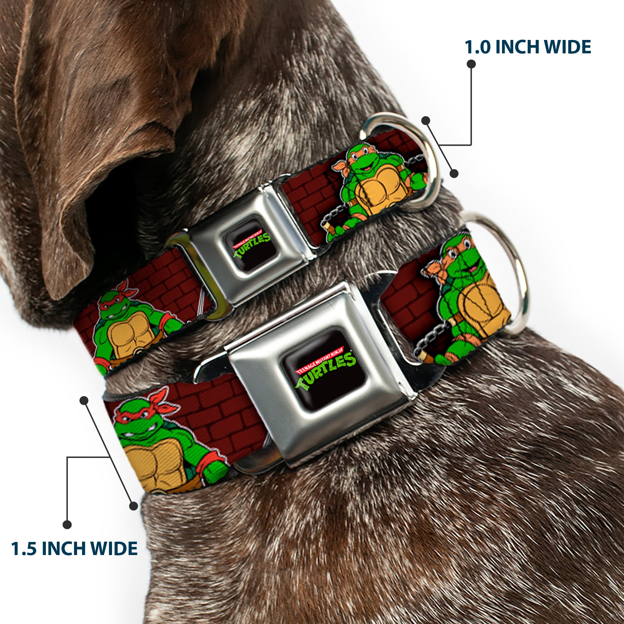 Classic TEENAGE MUTANT NINJA TURTLES Logo Seatbelt Buckle Collar - Classic TEENAGE MUTANT NINJA TURTLES Battle Poses/Group Pose7 Seatbelt Buckle Collars Teenage Mutant Ninja Turtles