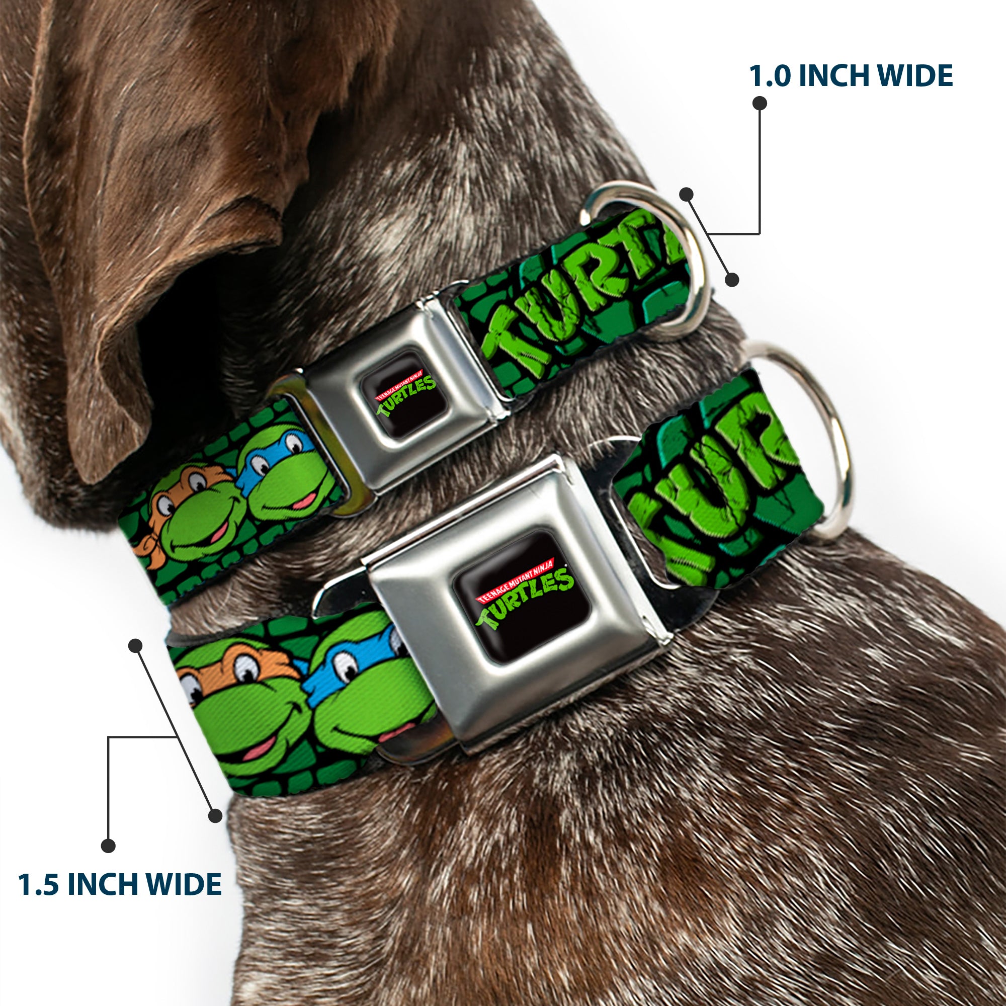 Classic TEENAGE MUTANT NINJA TURTLES Logo Seatbelt Buckle Collar - Classic Teenage Mutant Ninja Turtles Group Faces/TURTLES Turtle Shell Black/Green Seatbelt Buckle Collars Teenage Mutant Ninja Turtles