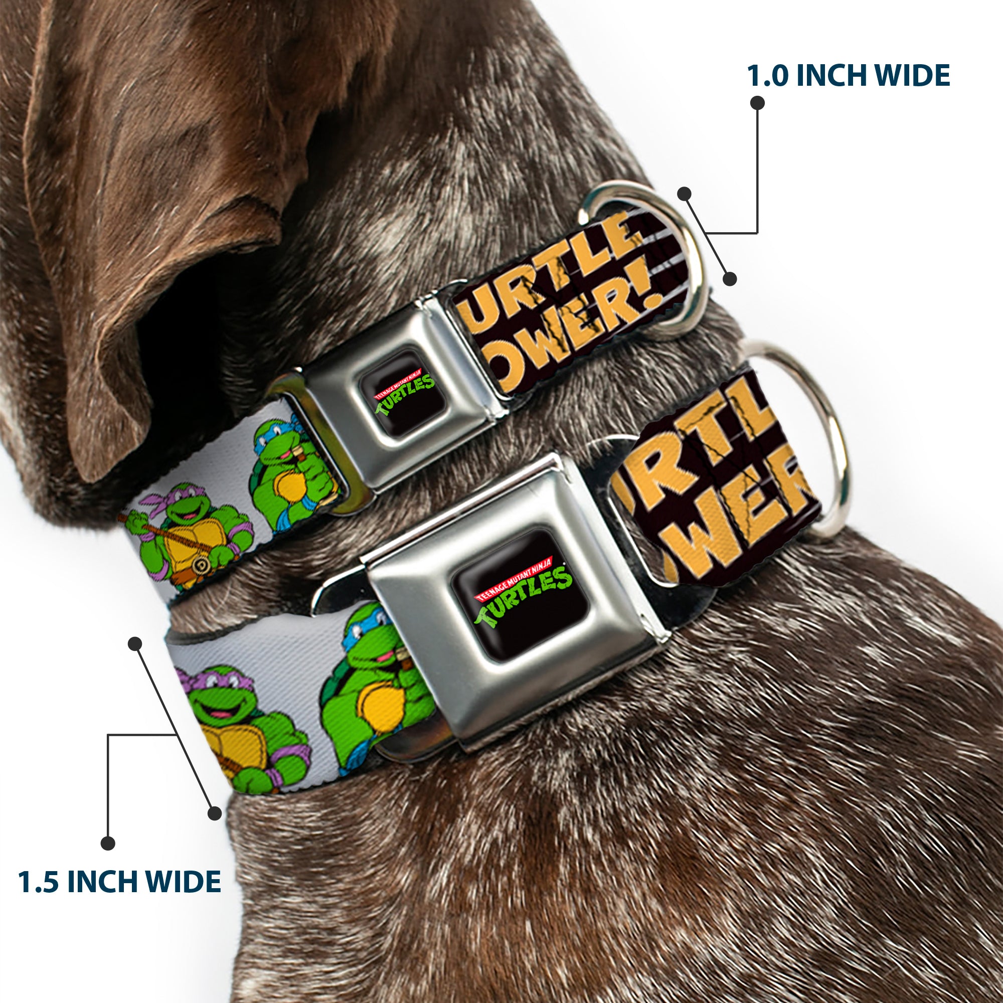 Classic TEENAGE MUTANT NINJA TURTLES Logo Seatbelt Buckle Collar - Classic Teenage Mutant Ninja Turtles Group Pose/TURTLE POWER! Seatbelt Buckle Collars Teenage Mutant Ninja Turtles