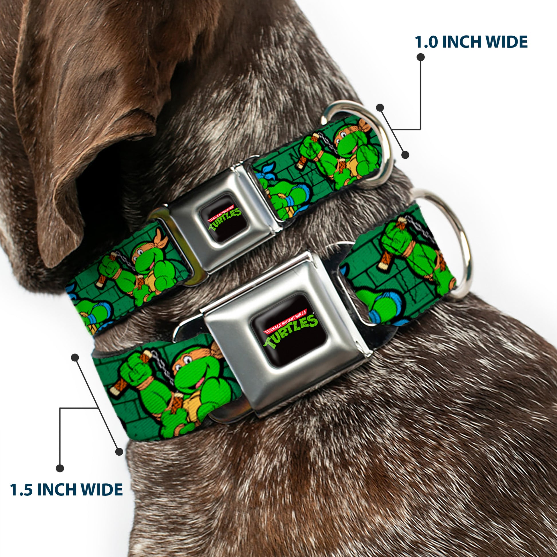 Classic TEENAGE MUTANT NINJA TURTLES Logo Seatbelt Buckle Collar - Classic Teenage Mutant Ninja Turtles Group Pose2/TMNT Green Brick Wall Seatbelt Buckle Collars Teenage Mutant Ninja Turtles