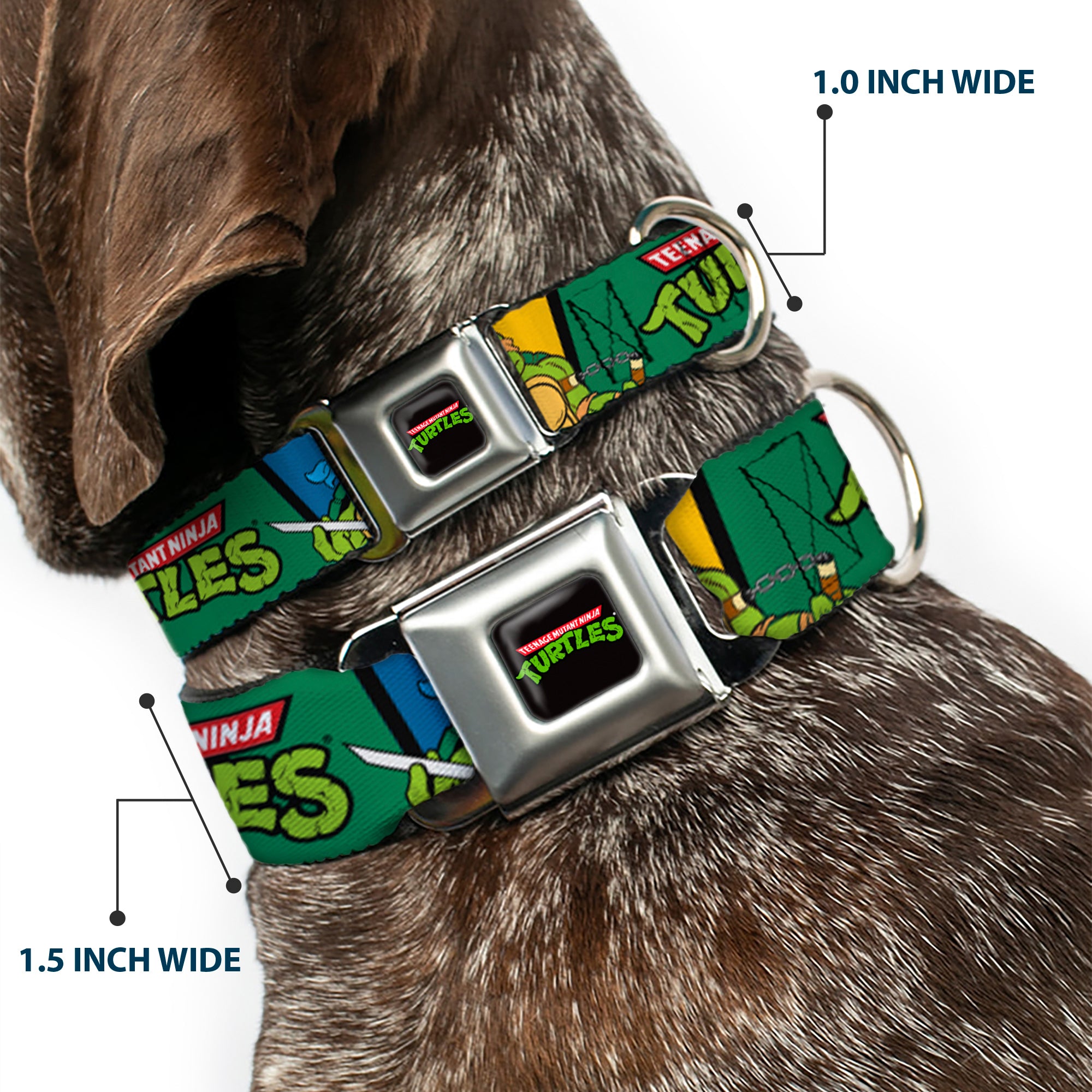 Classic TEENAGE MUTANT NINJA TURTLES Logo Seatbelt Buckle Collar - Classic TEENAGE MUTANT NINJA TURTLES Group Pose3/TMNT Logo Green/Multi Color Seatbelt Buckle Collars Teenage Mutant Ninja Turtles