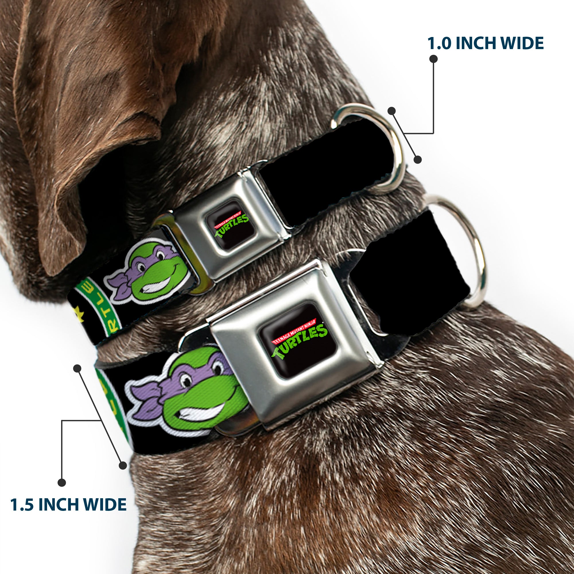 Classic TEENAGE MUTANT NINJA TURTLES Logo Seatbelt Buckle Collar - Classic Teenage Mutant Ninja Turtles Group Faces/TMNT/Ninja Star Black/Green Seatbelt Buckle Collars Teenage Mutant Ninja Turtles