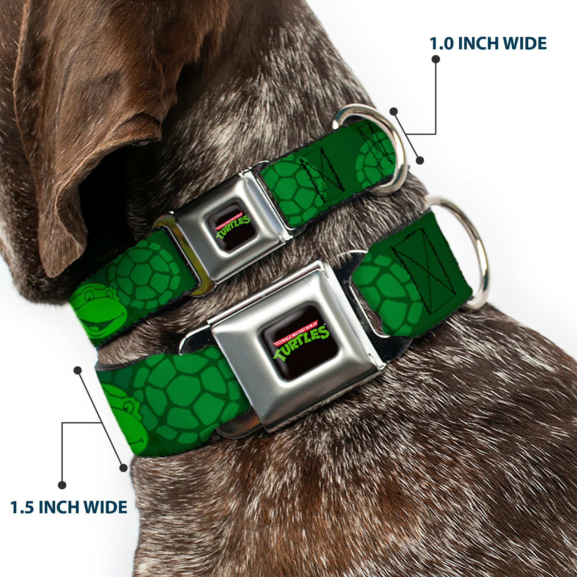 Classic TEENAGE MUTANT NINJA TURTLES Logo Seatbelt Buckle Collar - Classic Teenage Mutant Ninja Turtles Turtle Faces2 Greens Seatbelt Buckle Collars Teenage Mutant Ninja Turtles