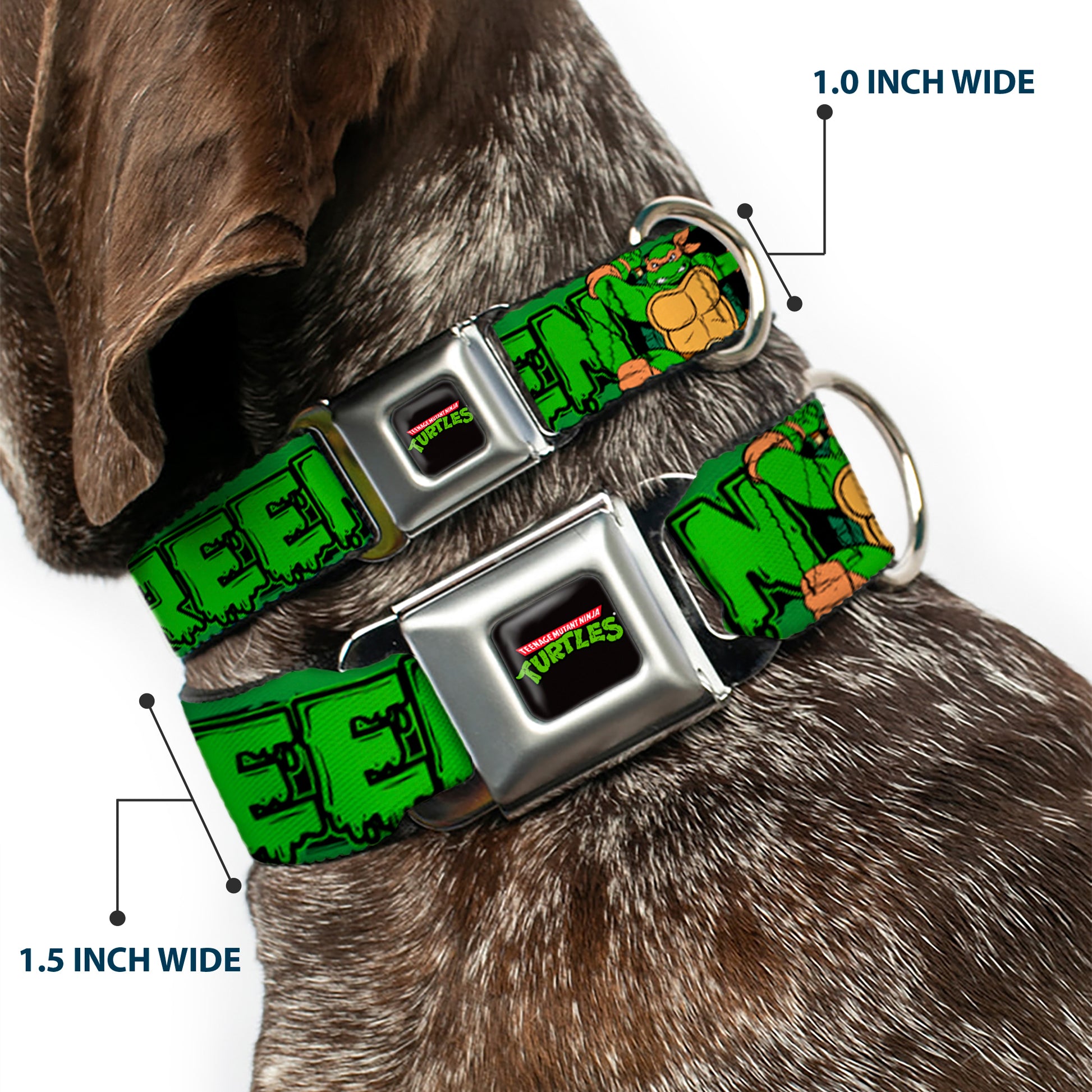 Classic TEENAGE MUTANT NINJA TURTLES Logo Seatbelt Buckle Collar - Classic TEENAGE MUTANT NINJA TURTLES Logo/Group Pose5/LEAN MEAN & GREEN Seatbelt Buckle Collars Teenage Mutant Ninja Turtles