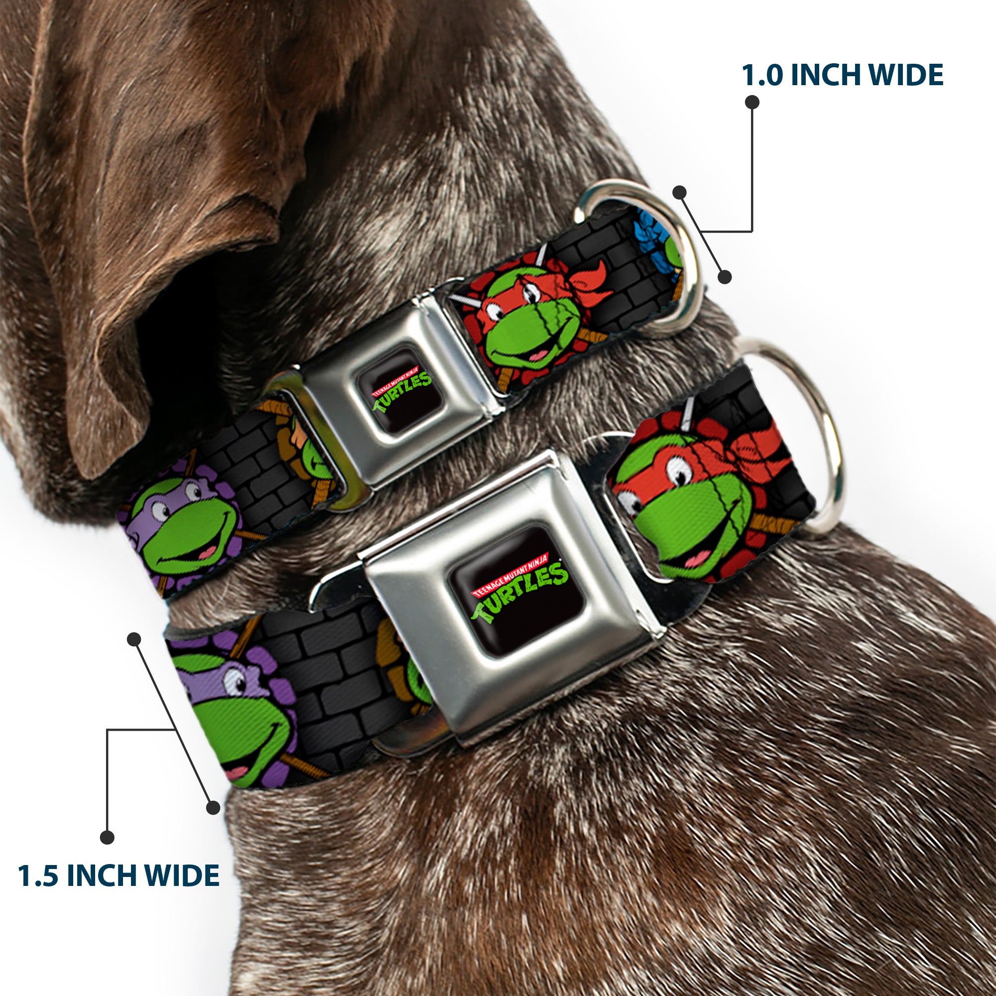 Classic TEENAGE MUTANT NINJA TURTLES Logo Seatbelt Buckle Collar - Classic Teenage Mutant Ninja Turtles Expessions/Battle Gear Gray/Multi Color Seatbelt Buckle Collars Teenage Mutant Ninja Turtles