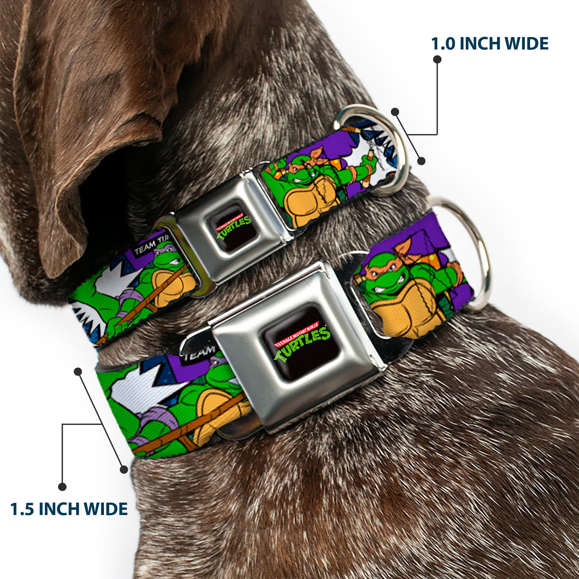Classic TMNT Logo Seatbelt Buckle Collar - Classic Teenage Mutant Ninja Turtles Action Poses/TEAM TURTLES Seatbelt Buckle Collars Teenage Mutant Ninja Turtles