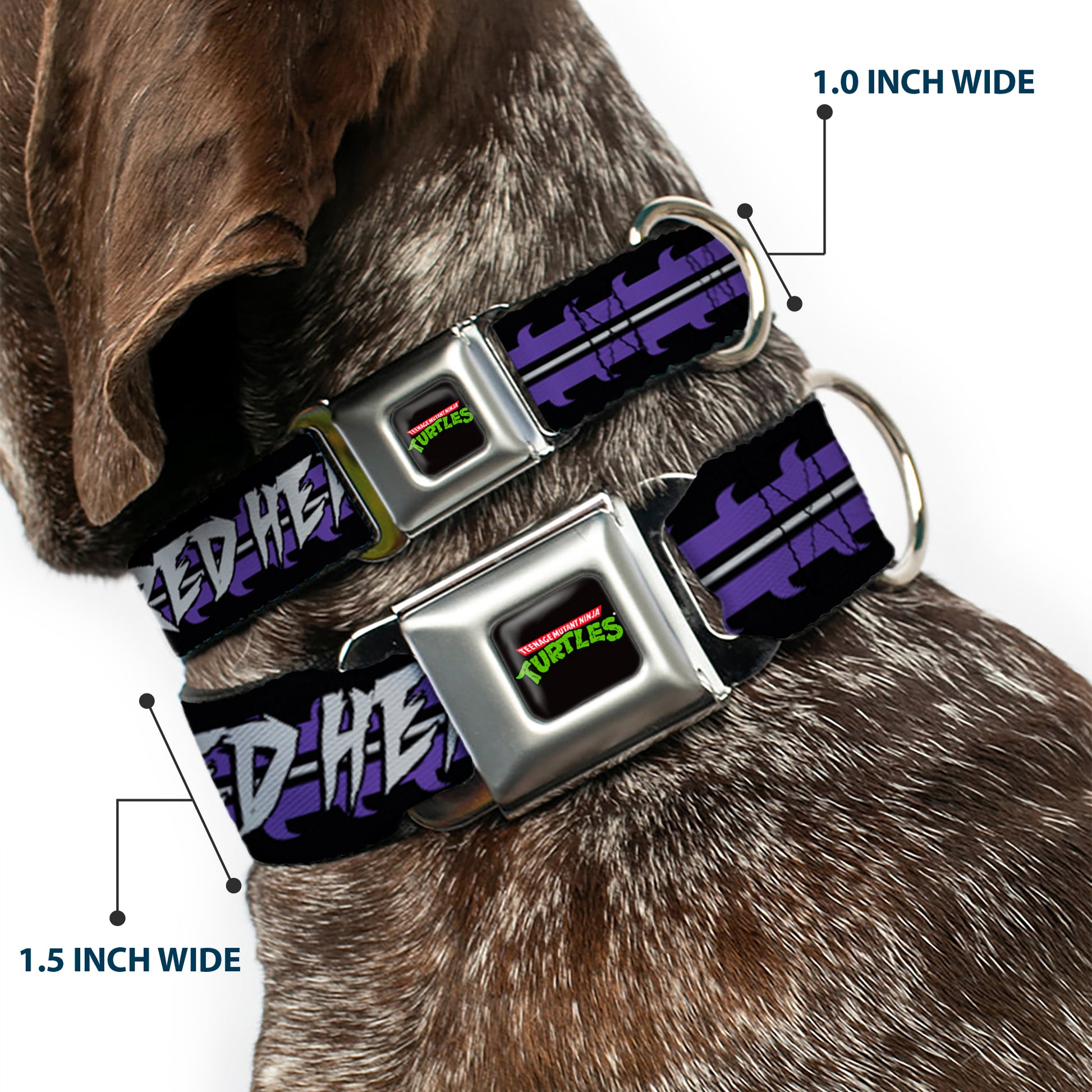 Classic TMNT Logo Seatbelt Buckle Collar - Shredder Head SHRED HEAD/Stripe Black/Purple/Gray Seatbelt Buckle Collars Teenage Mutant Ninja Turtles