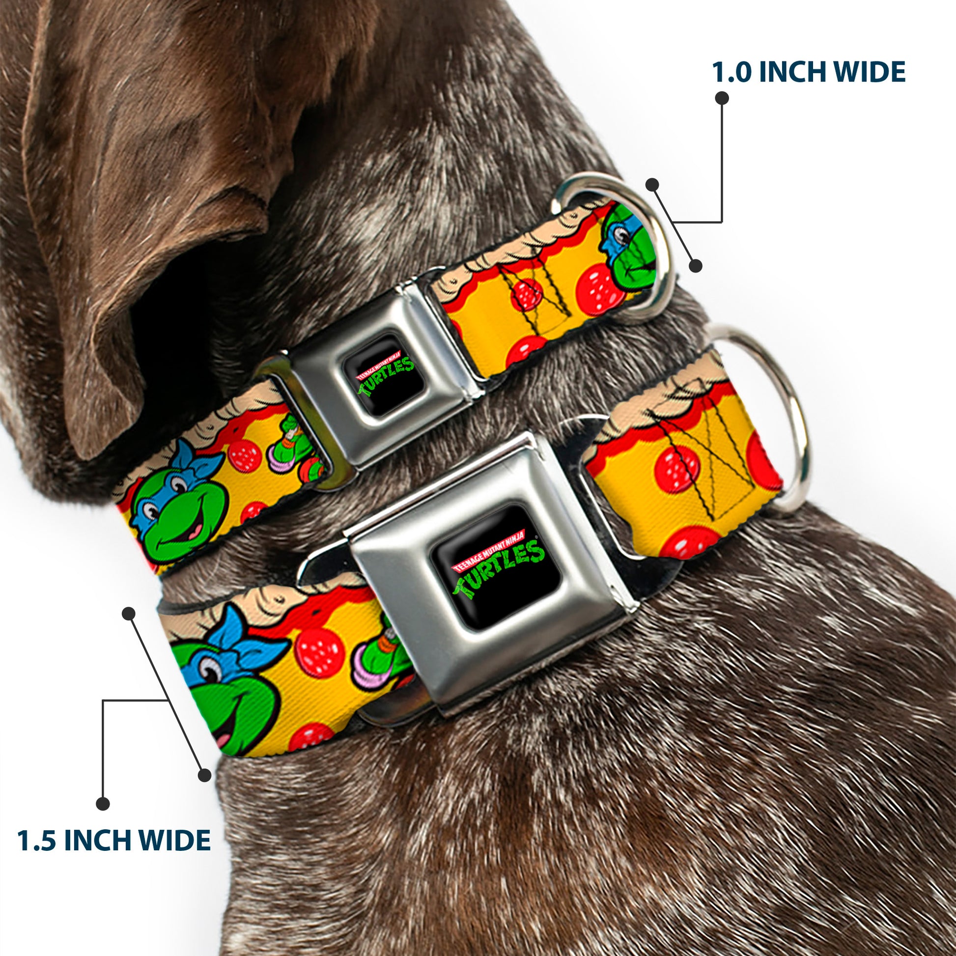Classic TMNT Logo Seatbelt Buckle Collar - Classic Teenage Mutant Ninja Turtles 4-Turtle Faces Pepperoni Pizza/Turtles Pose16 Seatbelt Buckle Collars Teenage Mutant Ninja Turtles