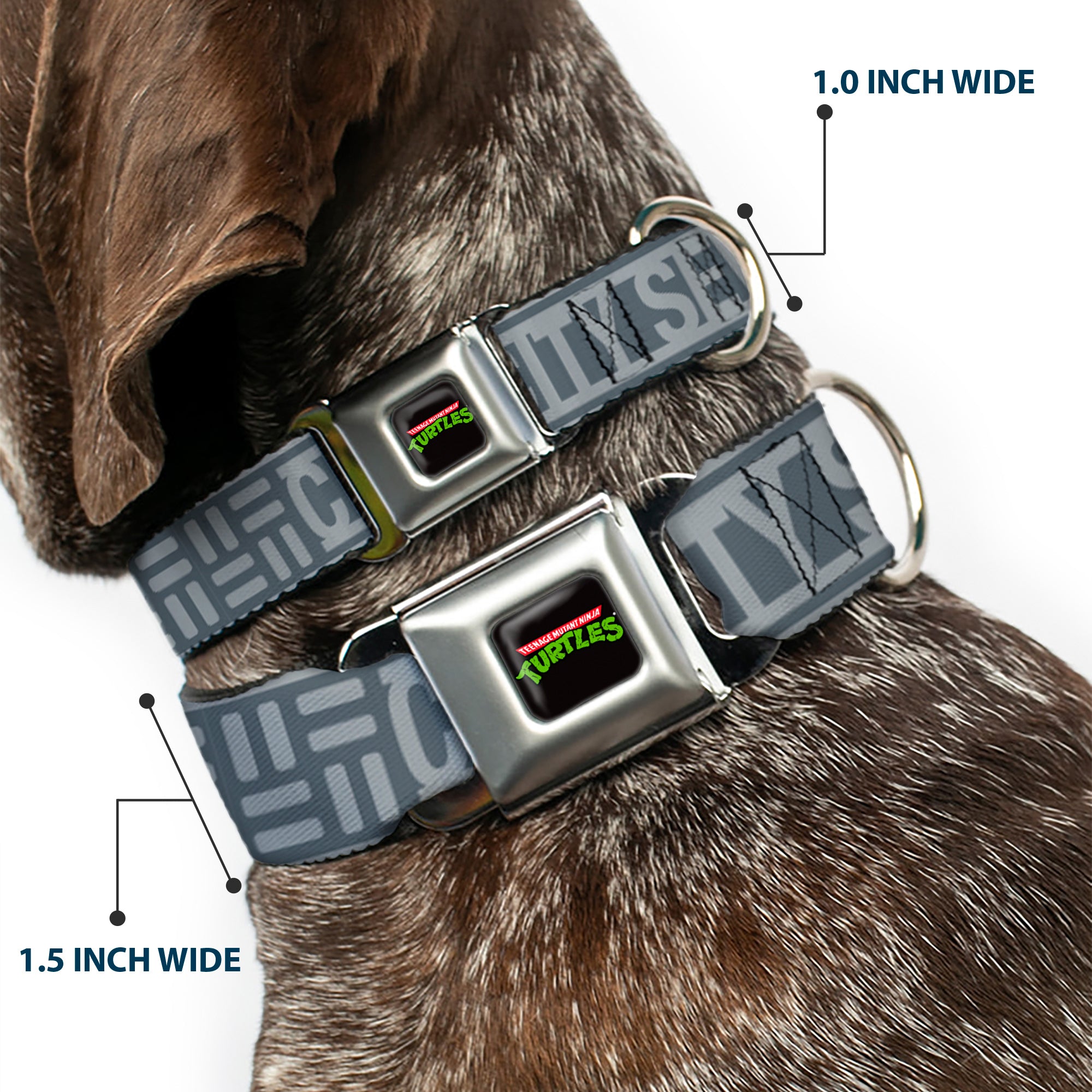Classic TEENAGE MUTANT NINJA TURTLES Logo Seatbelt Buckle Collar - TEENAGE MUTANT NINJA TURTLES CITY SEWER Title Logo Grays Seatbelt Buckle Collars Teenage Mutant Ninja Turtles