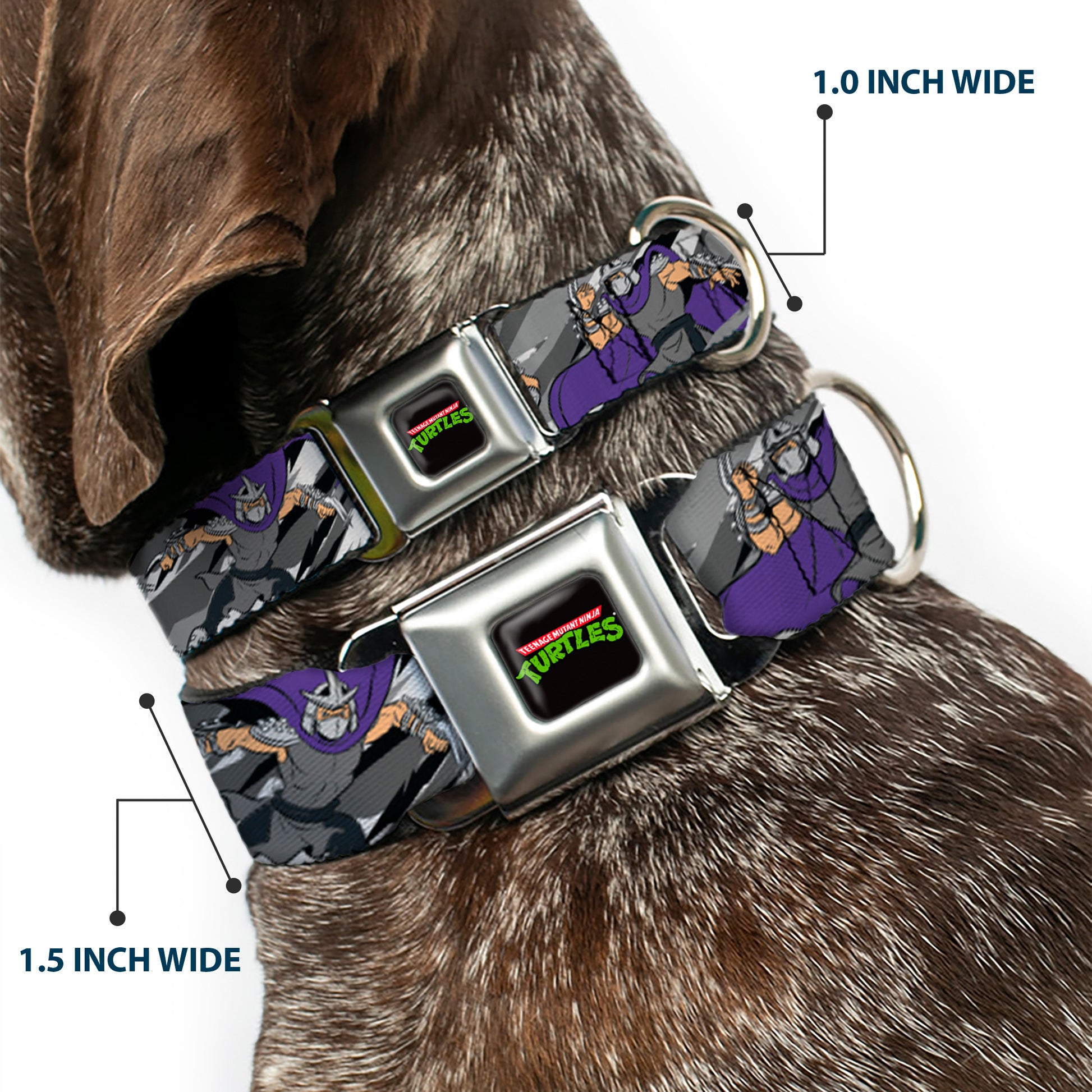 Classic TEENAGE MUTANT NINJA TURTLES Logo Seatbelt Buckle Collar - Teenage Mutant Ninja Turtles Shredder Action Poses Grays/Purple Seatbelt Buckle Collars Teenage Mutant Ninja Turtles
