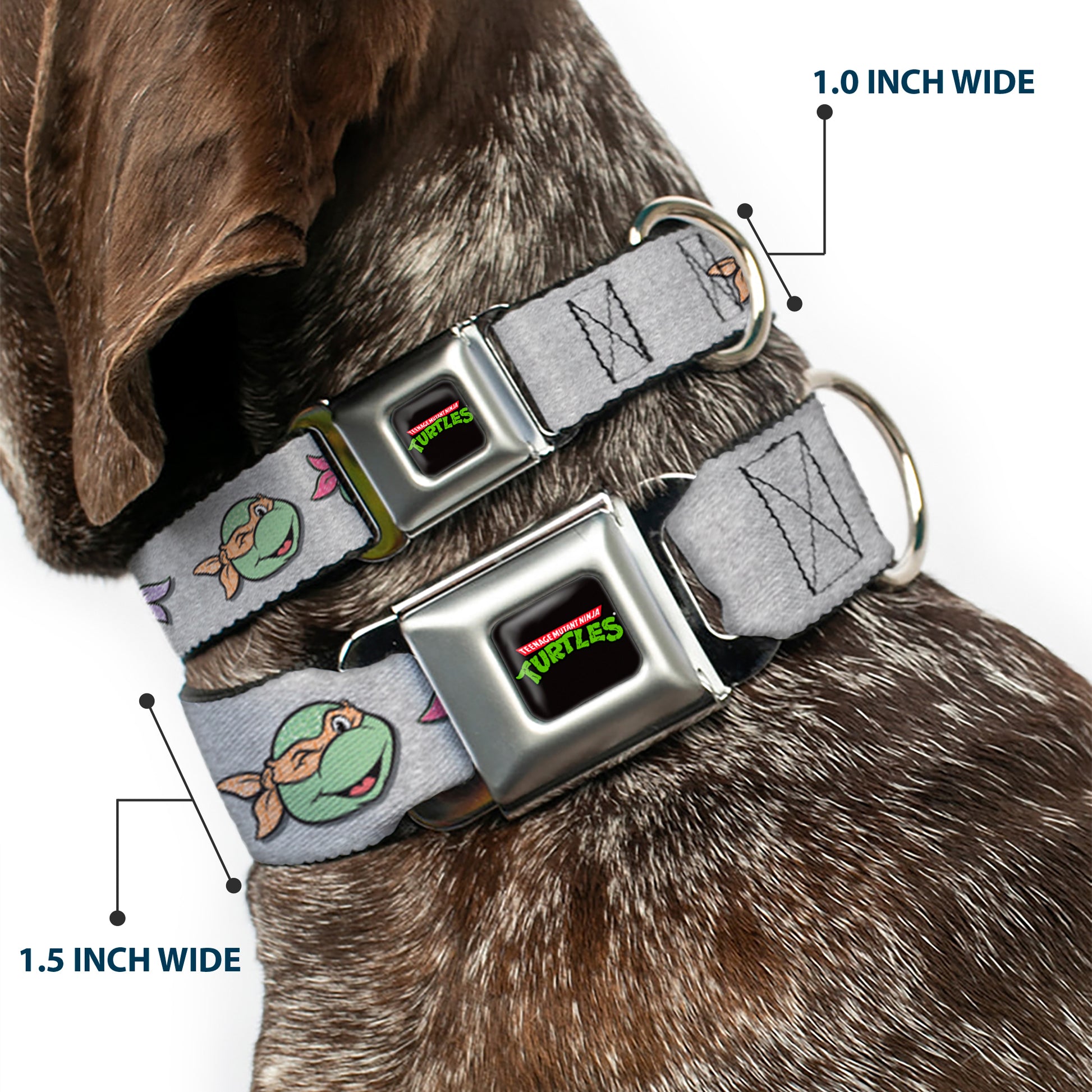 Classic TEENAGE MUTANT NINJA TURTLES Logo Seatbelt Buckle Collar - Teenage Mutant Ninja Turtles Expressions Gray Seatbelt Buckle Collars Teenage Mutant Ninja Turtles