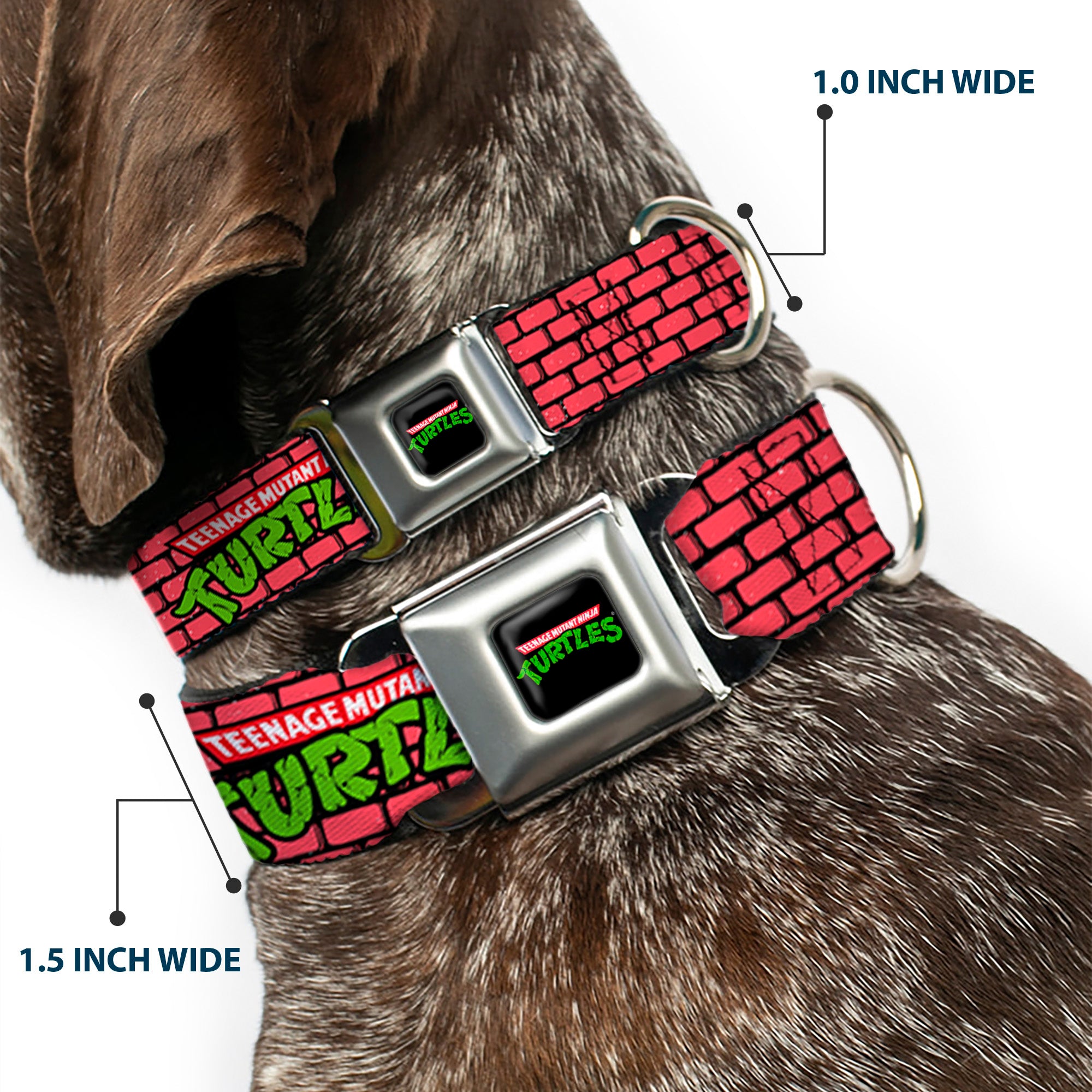 Classic TEENAGE MUTANT NINJA TURTLES Logo Seatbelt Buckle Collar - TEENAGE MUTANT NINJA TURTLES Brick Title Logo Red Seatbelt Buckle Collars Teenage Mutant Ninja Turtles