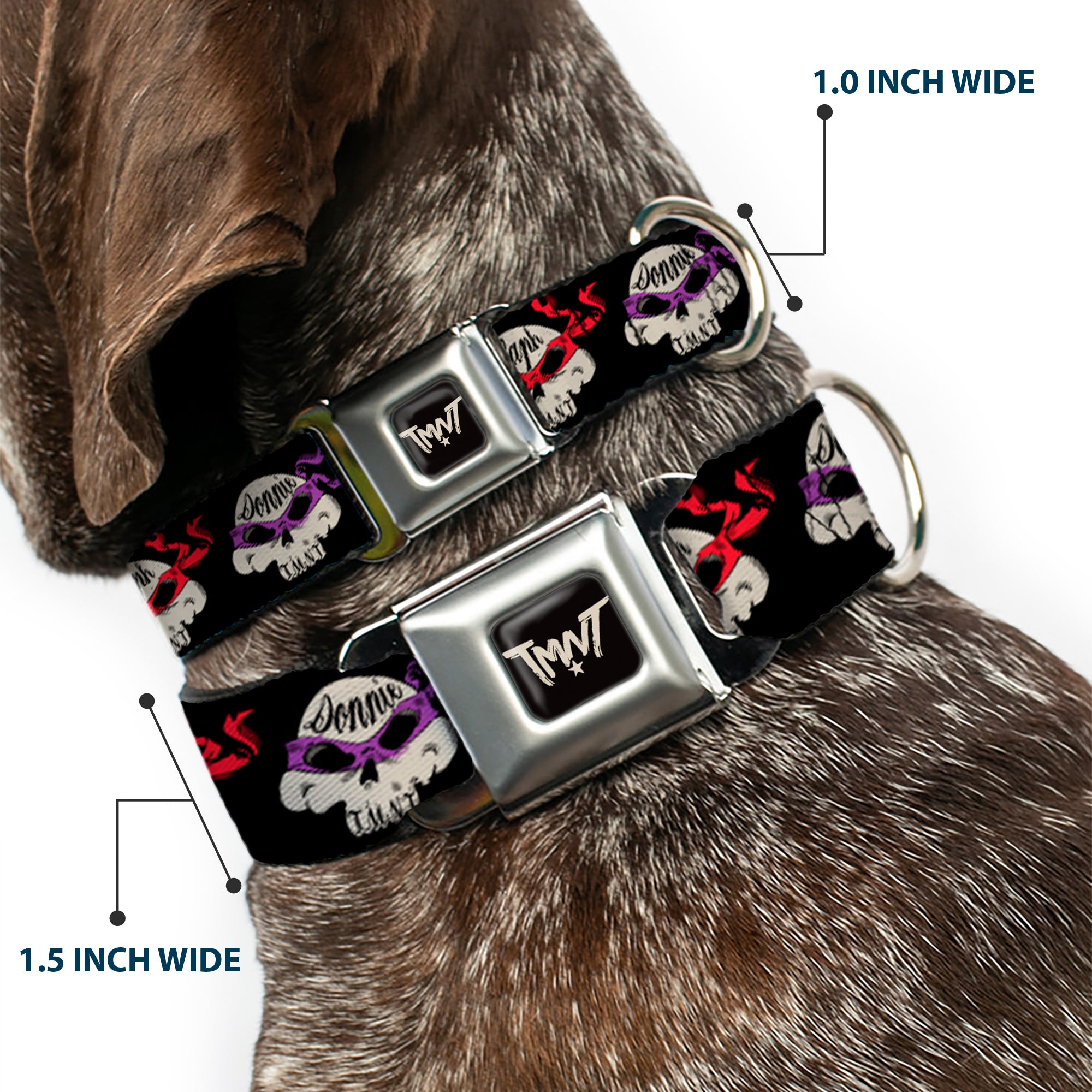 Road Rebel TMNT Logo Black/Gray Seatbelt Buckle Collar - TMNT 4-Turtle Road Rebel Skulls Black Seatbelt Buckle Collars Teenage Mutant Ninja Turtles
