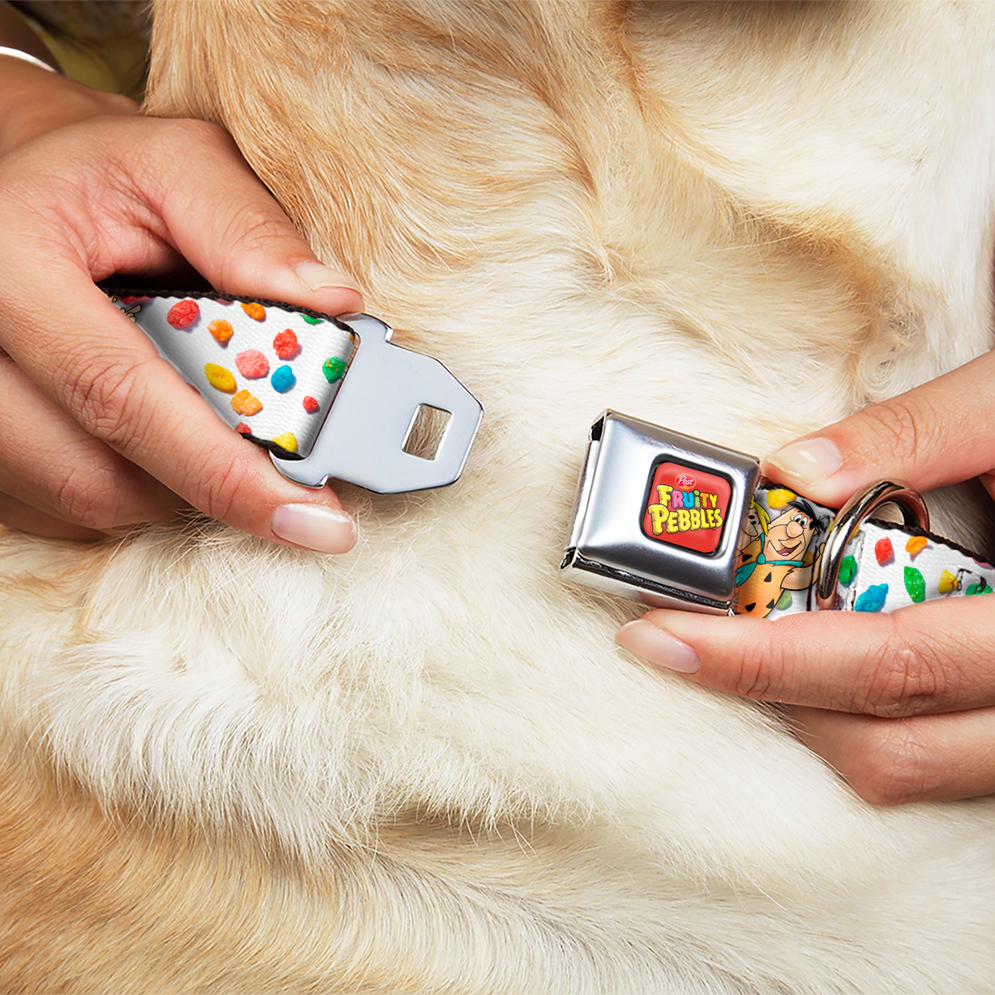 POST FRUITY PEBBLES Logo Full Color Red/Multi Color Seatbelt Buckle Collar - Fruity Pebbles Fred Flintstone and Barney Rubble Hugging Pose and Cereal Pebbles Scattered White/Multi Color Seatbelt Buckle Collars The Flintstones