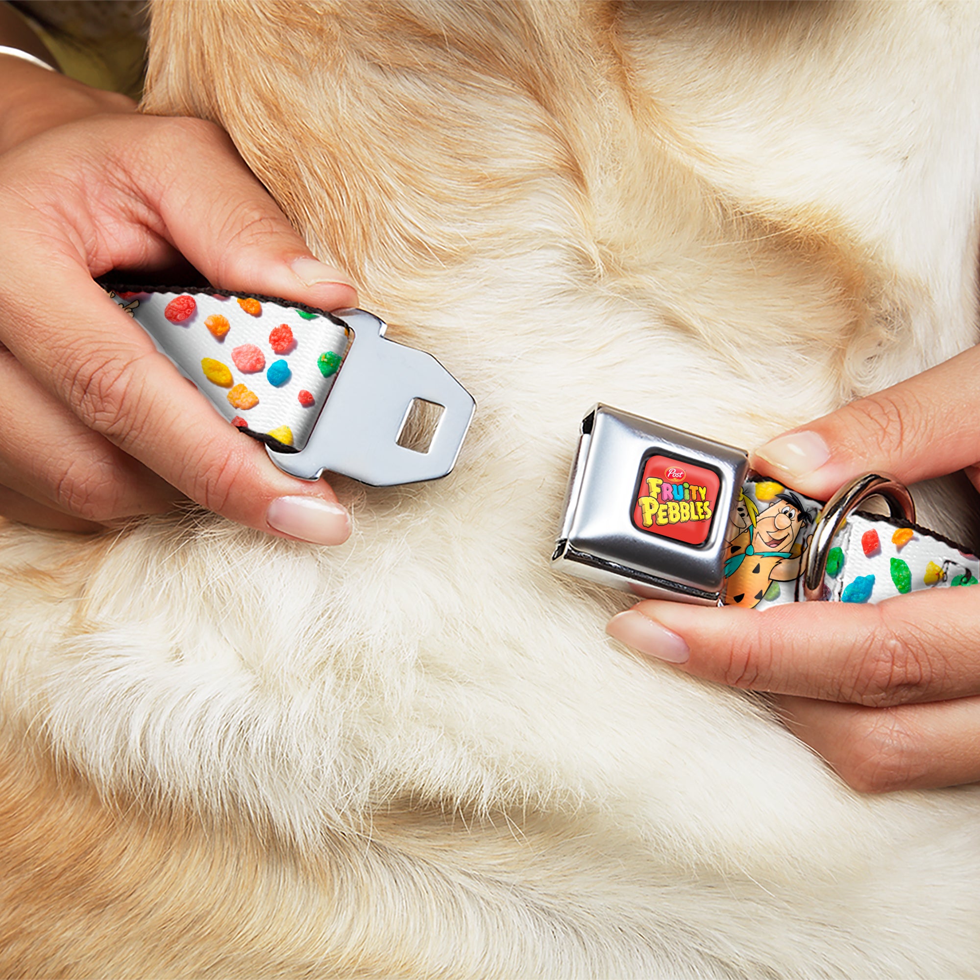POST FRUITY PEBBLES Logo Full Color Red/Multi Color Seatbelt Buckle Collar - Fruity Pebbles Fred Flintstone and Barney Rubble Hugging Pose and Cereal Pebbles Scattered White/Multi Color Seatbelt Buckle Collars The Flintstones